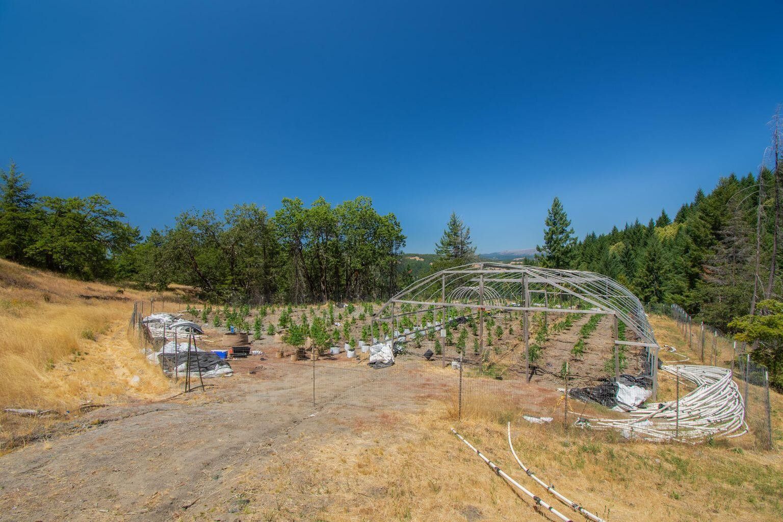 40 acres in Humboldt County, California