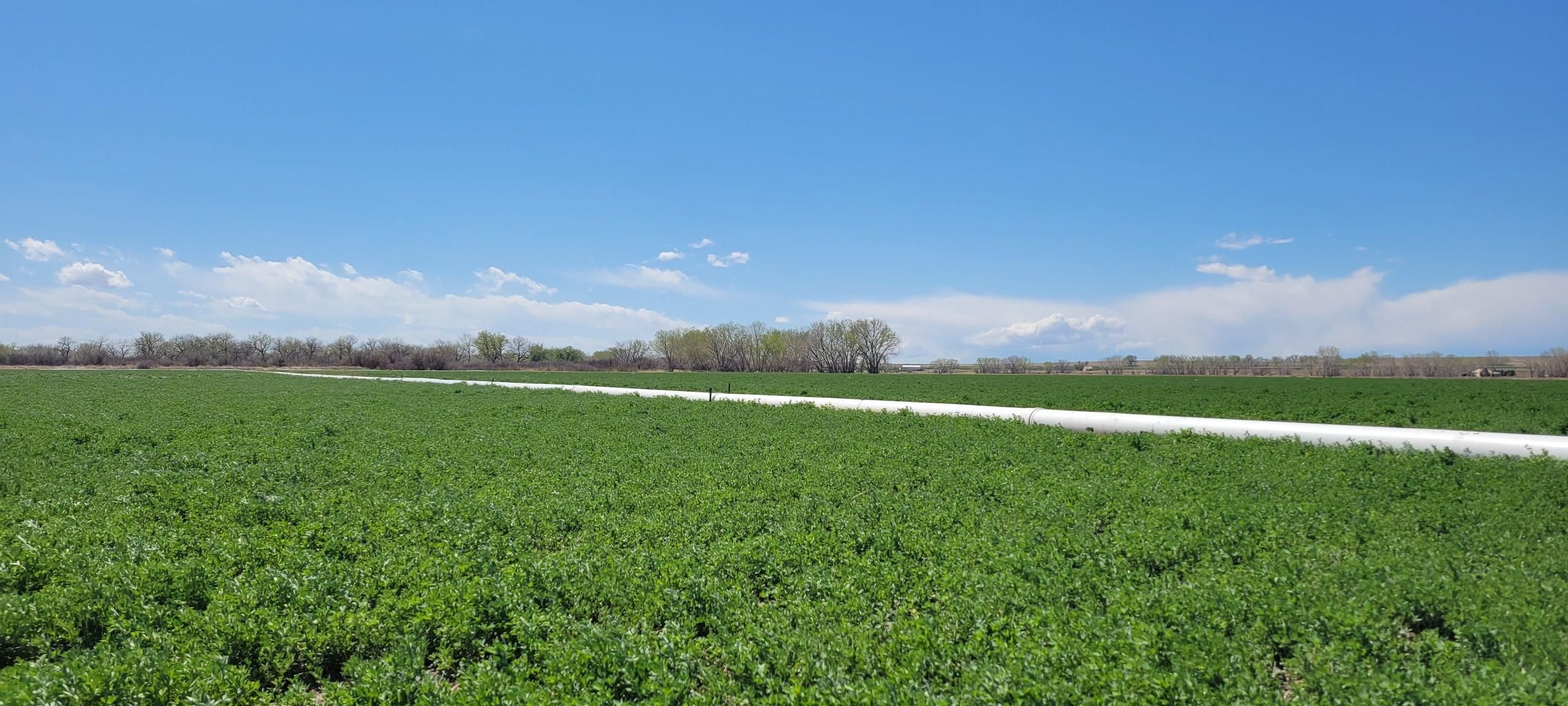 335 acres in Bent County, Colorado