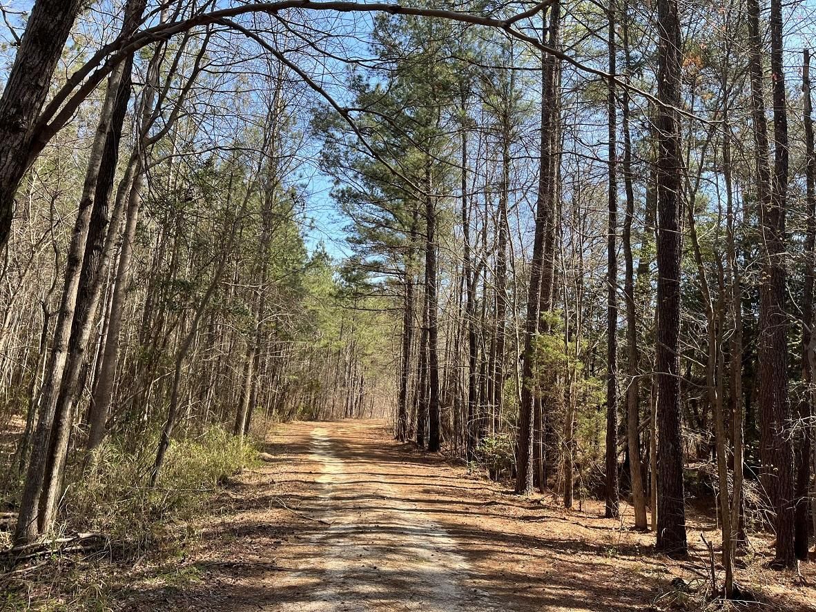 62 acres in Sussex County, Virginia