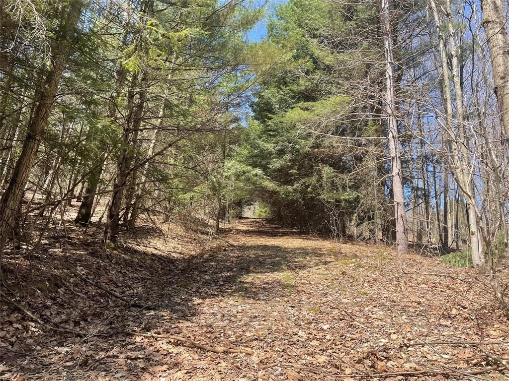 4 acres in Delaware County, New York