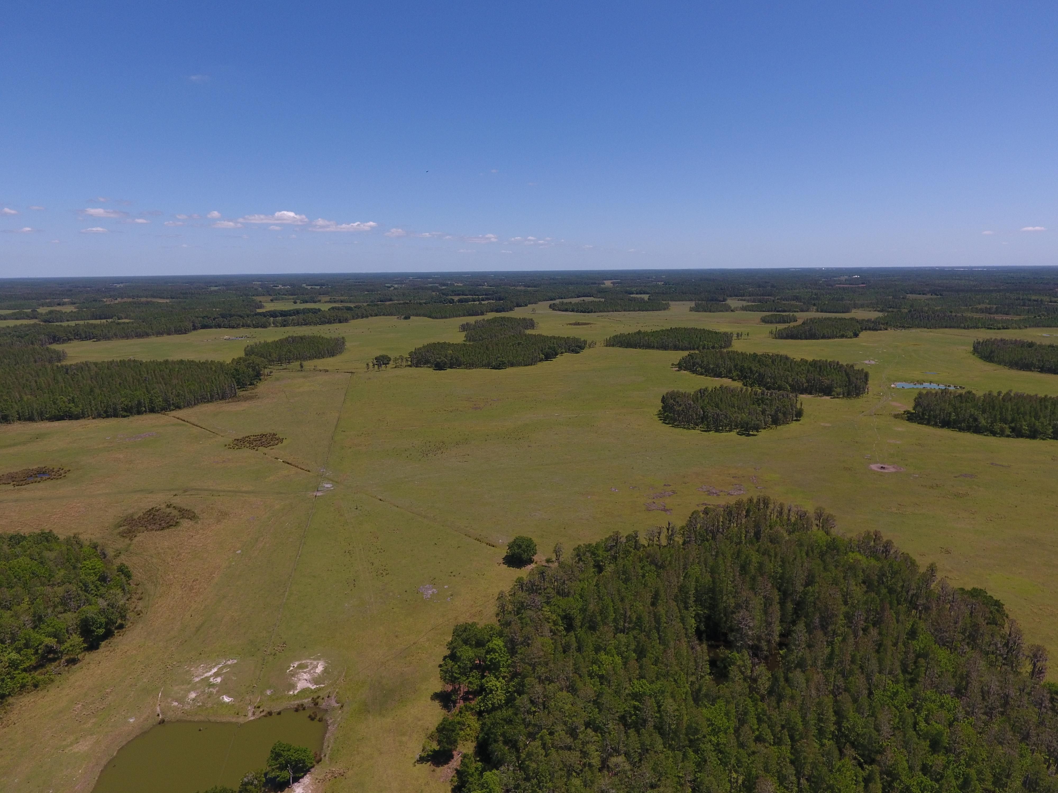 Rockridge Road, Lakeland, FL 33809