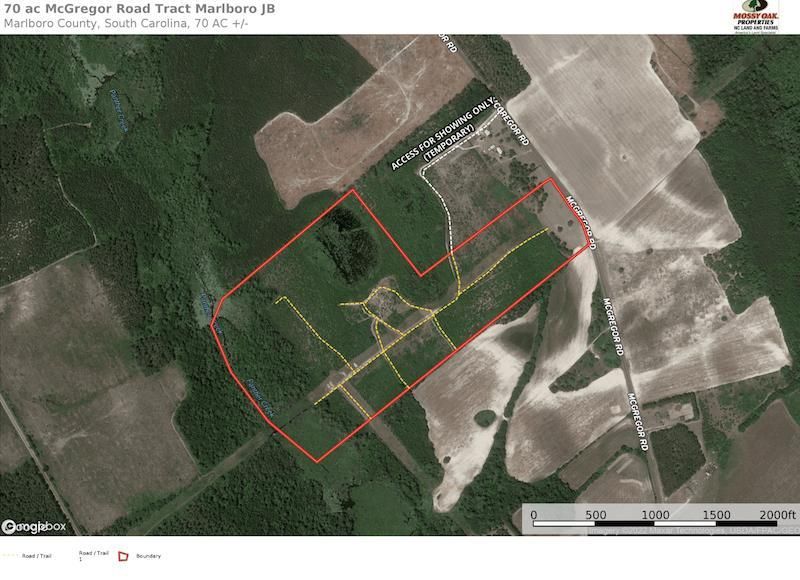 75 acres in Marlboro County, South Carolina
