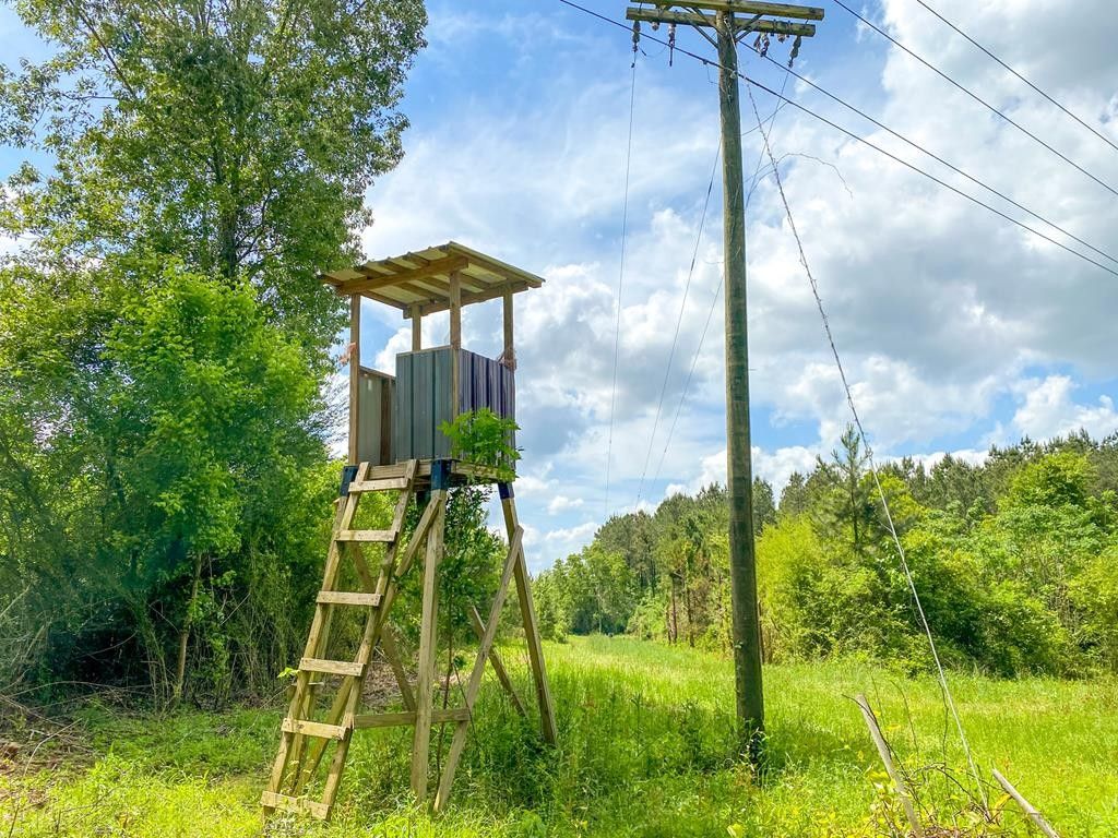 238 acres in Pike County, Mississippi