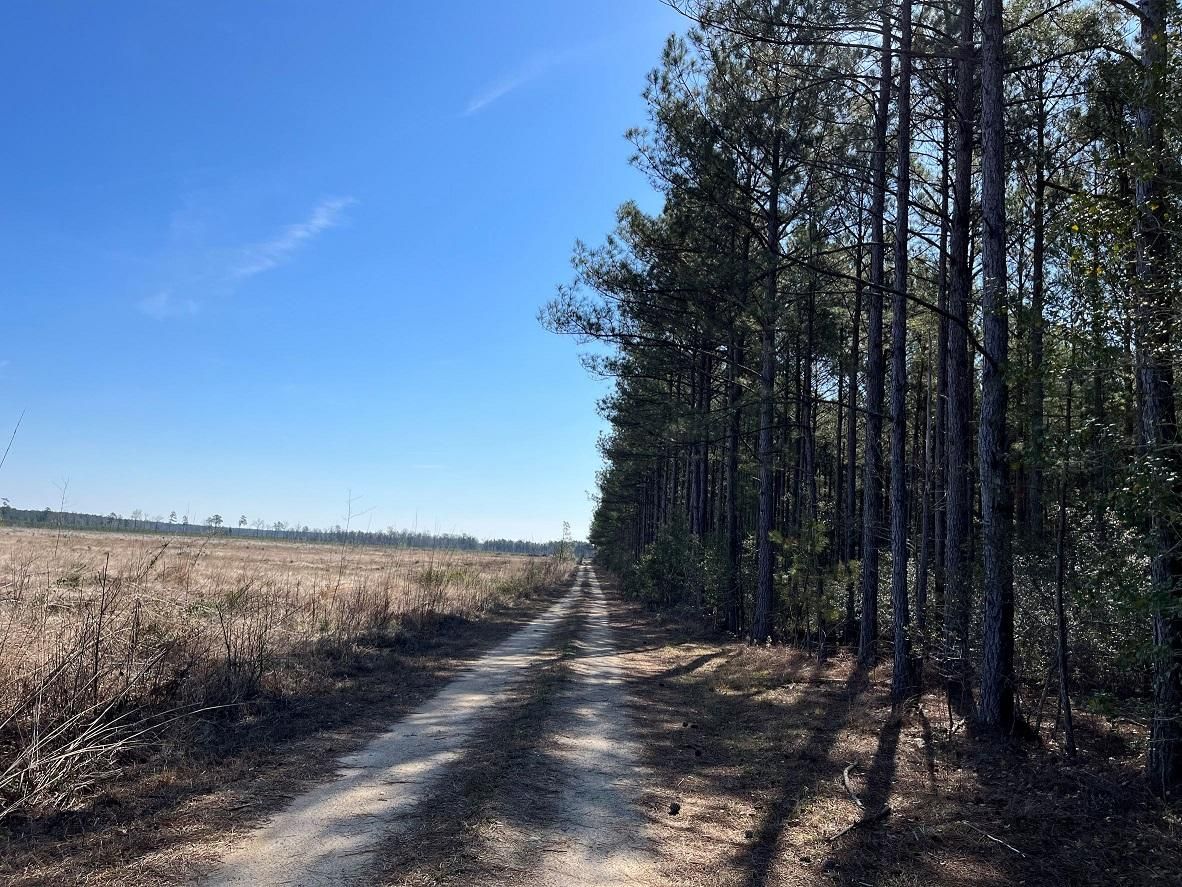 147 acres in Sussex County, Virginia