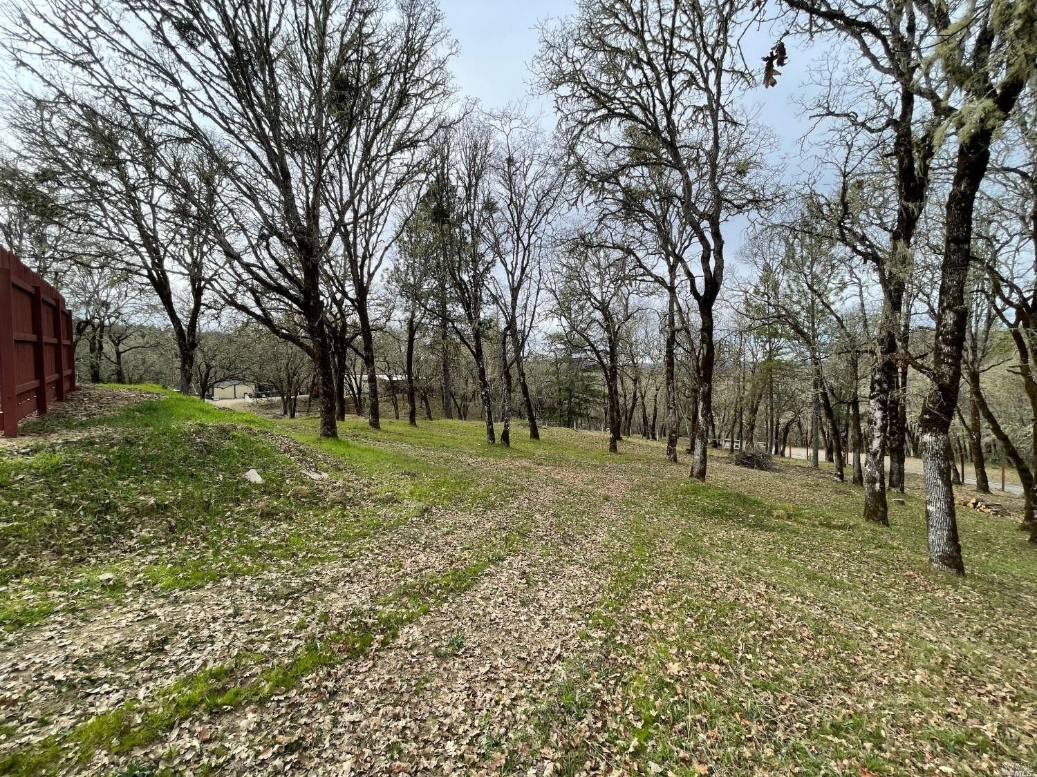 3 acres in Mendocino County, California