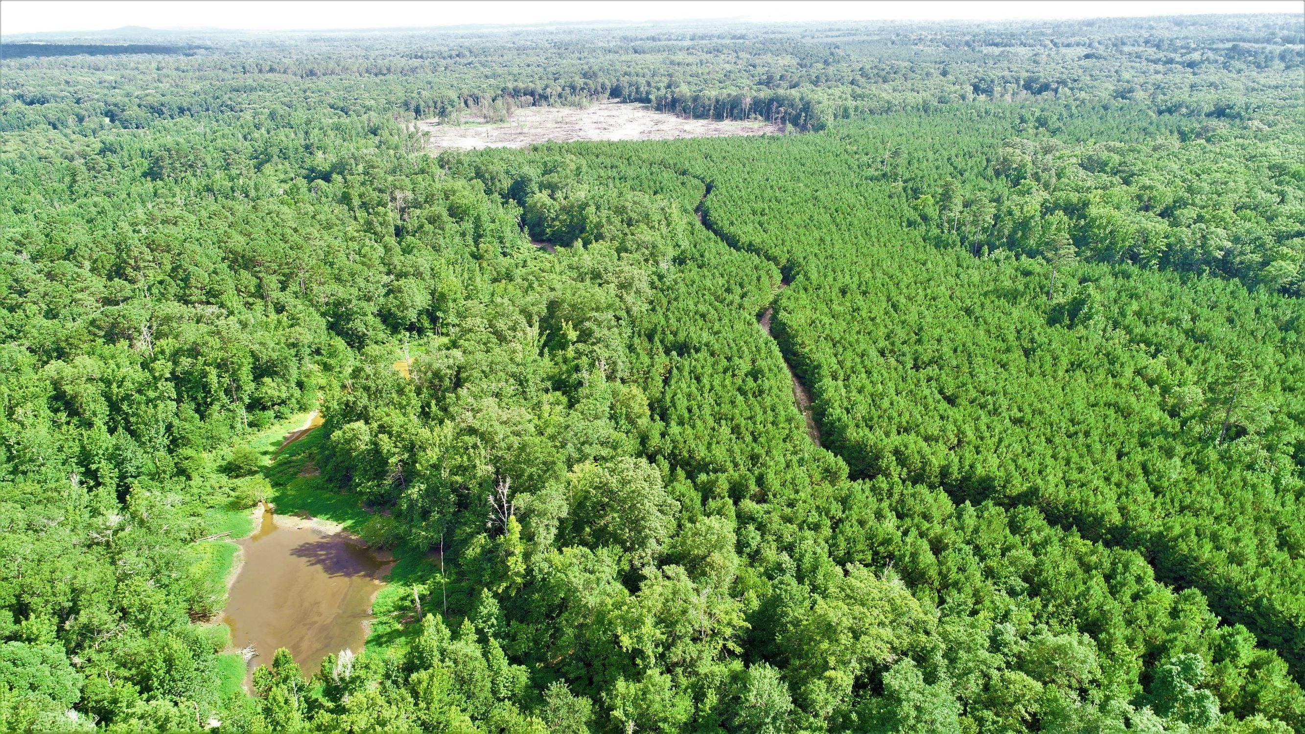 166 acres in Cass County, Texas