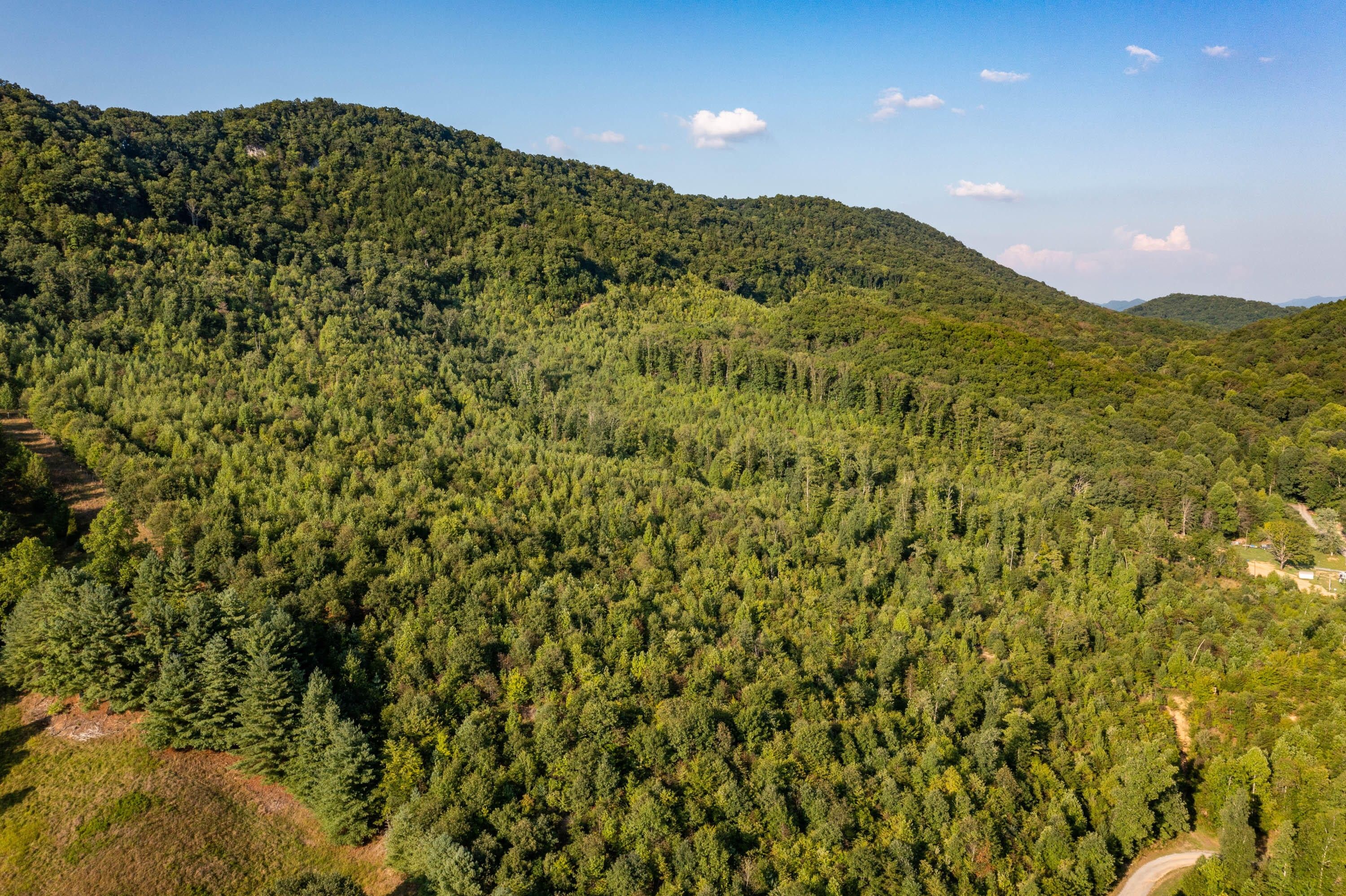 216 acres in Scott County, Virginia