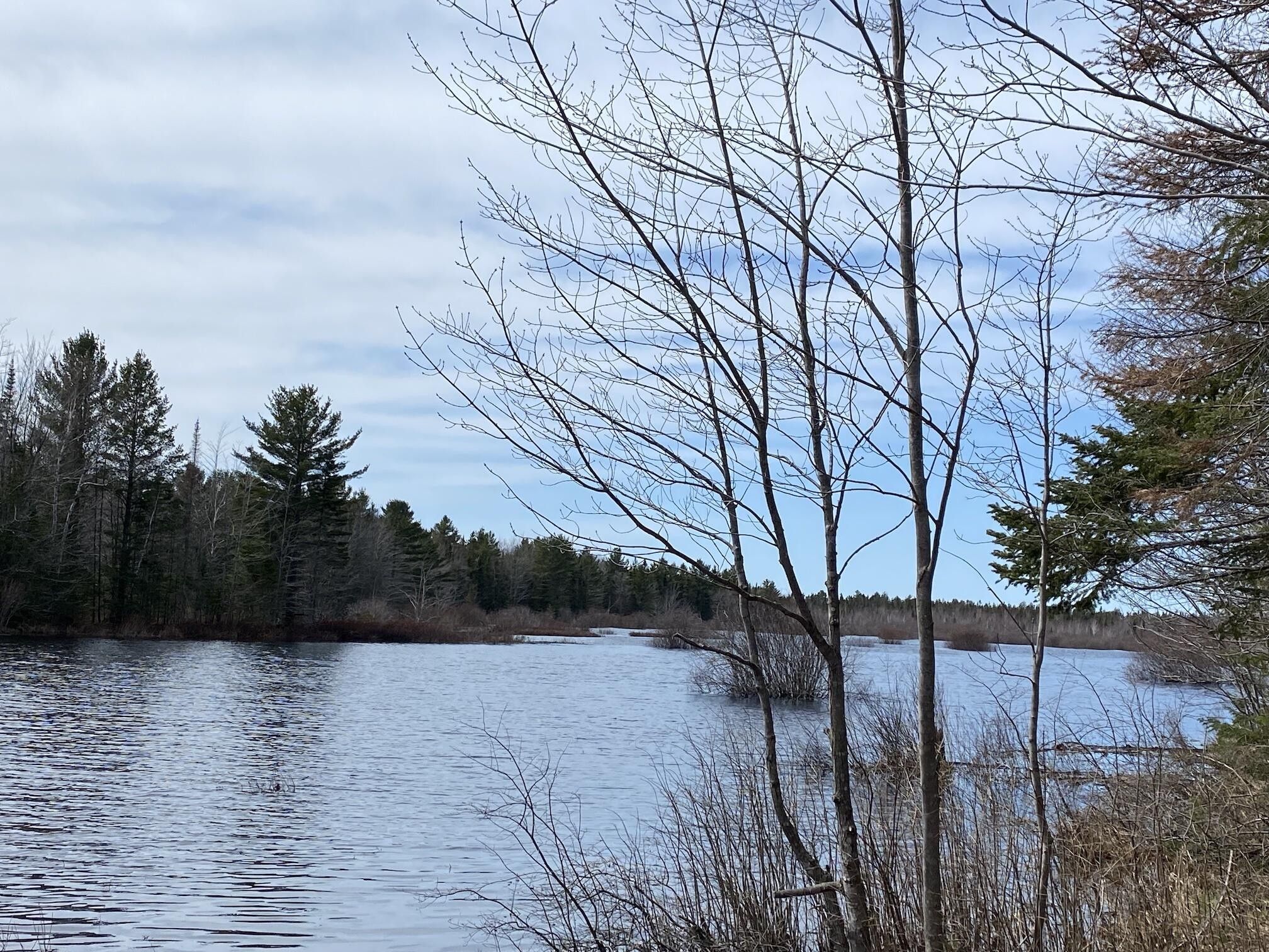 1 acres in Chippewa County, Michigan