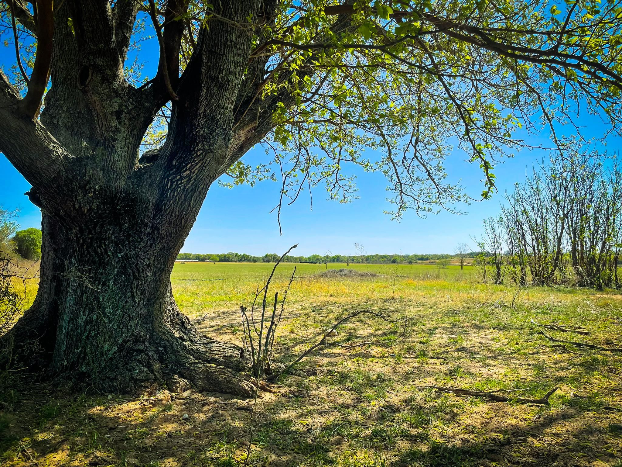 40 Acres For Sale In Texas - ehih5ro
