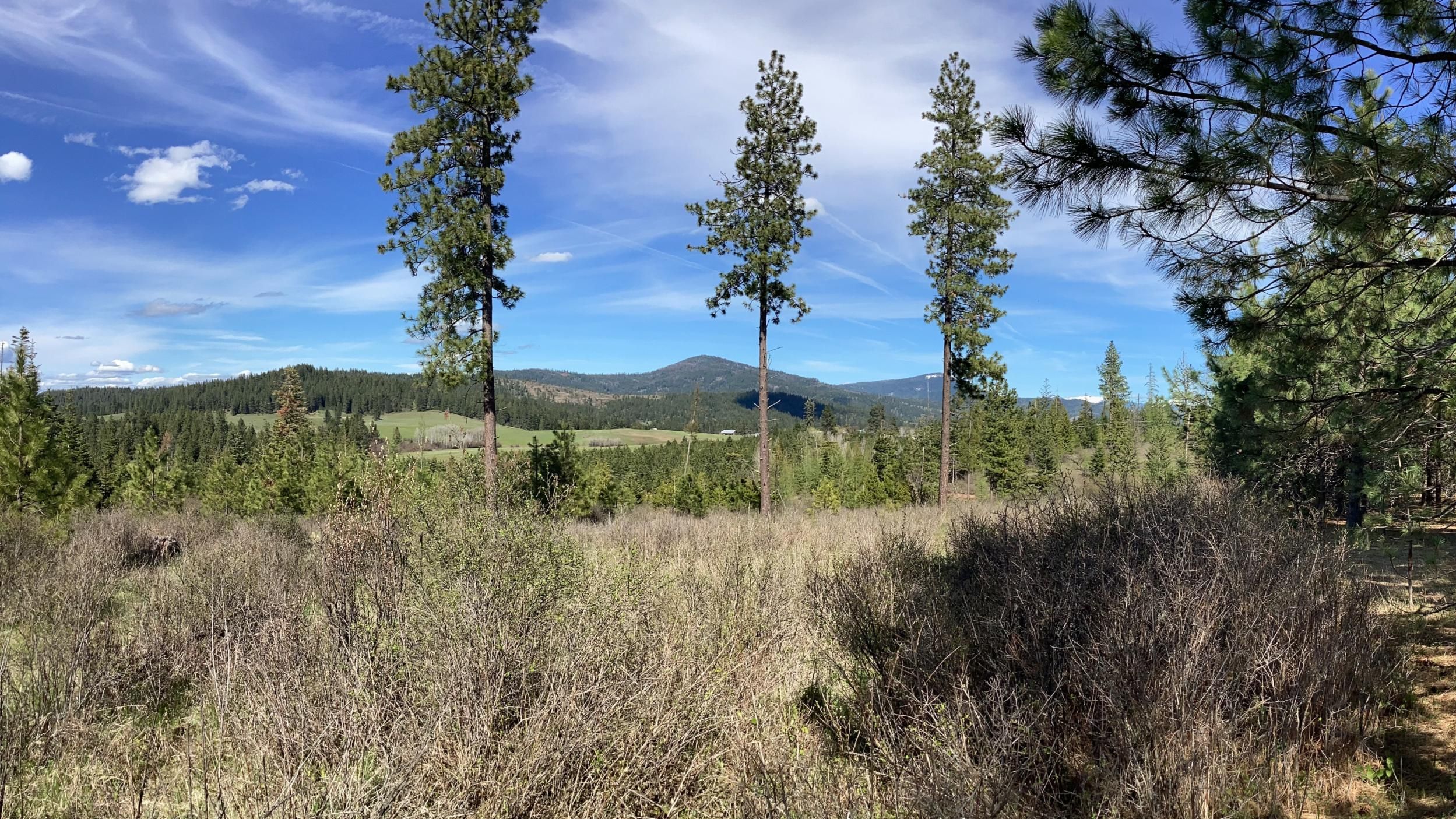 29.9 acres in Kootenai County, Idaho