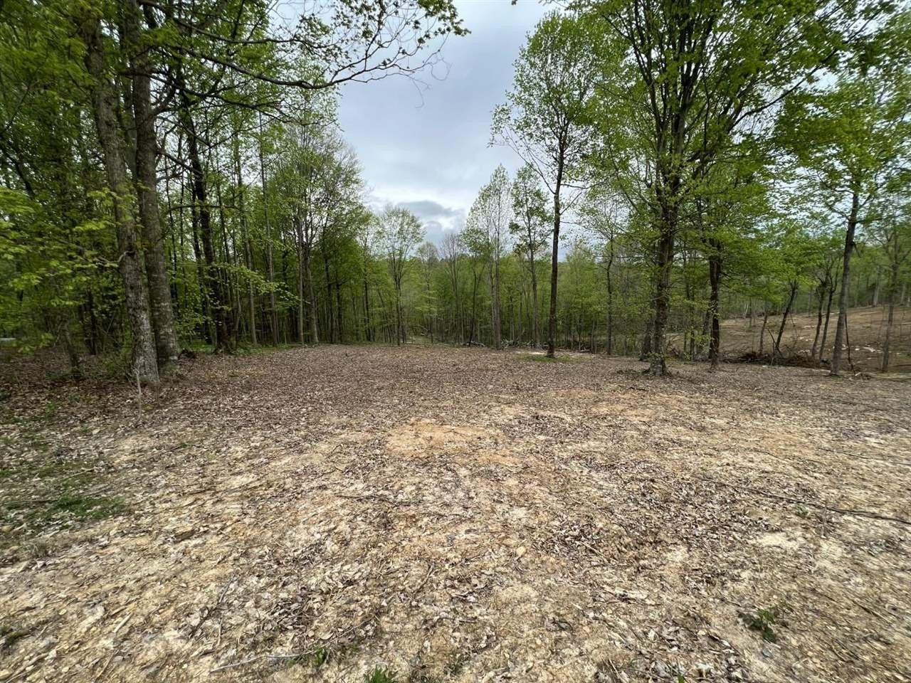 3 acres in Allen County, Kentucky