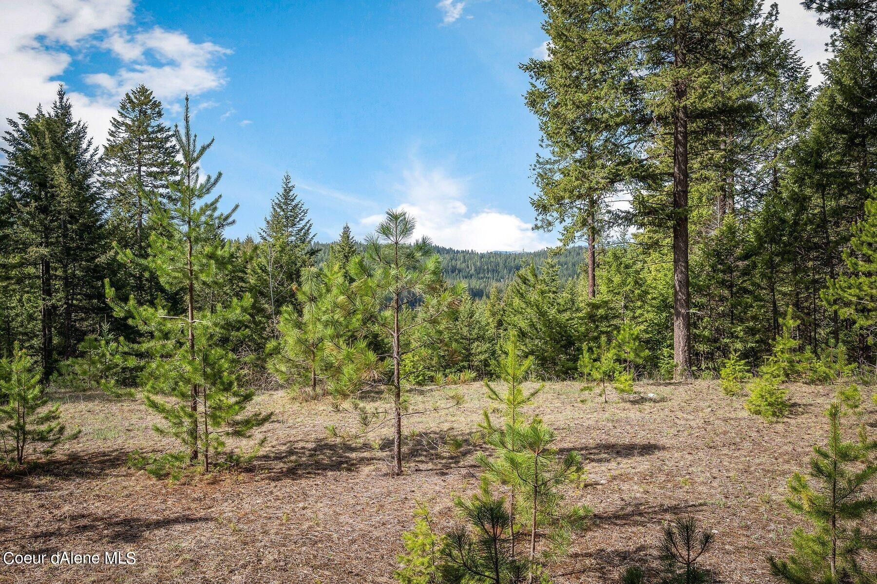 5 acres in Bonner County, Idaho