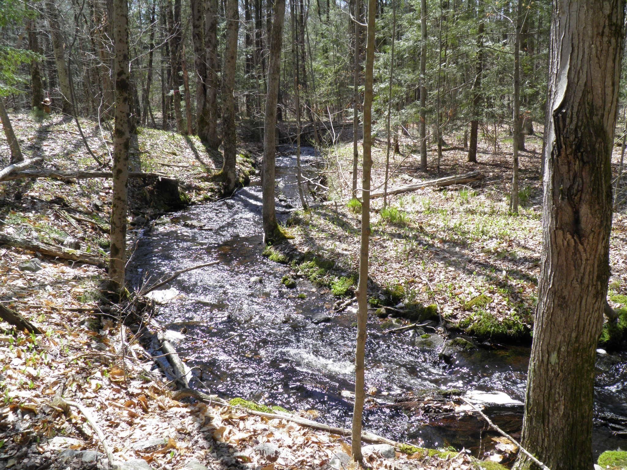 33 acres in Oneida County, New York