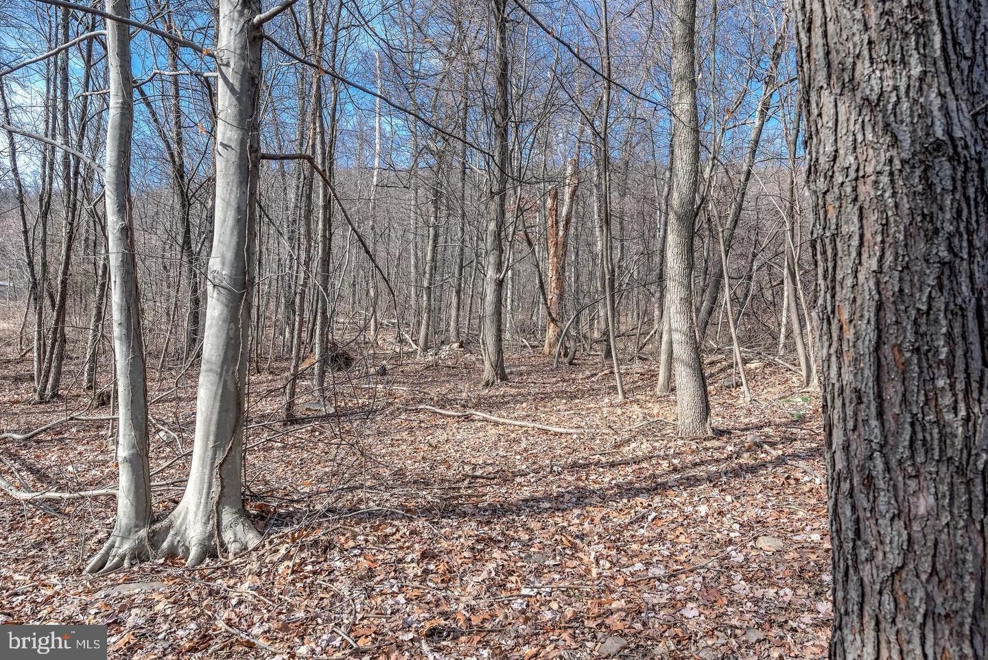 4 acres in Cumberland County, Pennsylvania