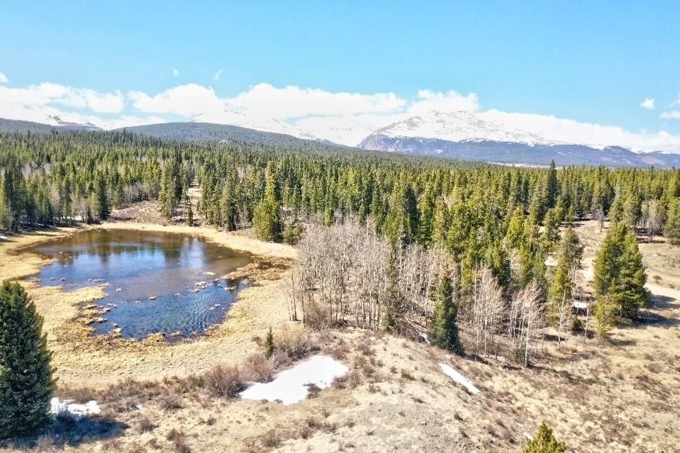 57 ROAD, Fairplay, CO 80449 MLS S1035212