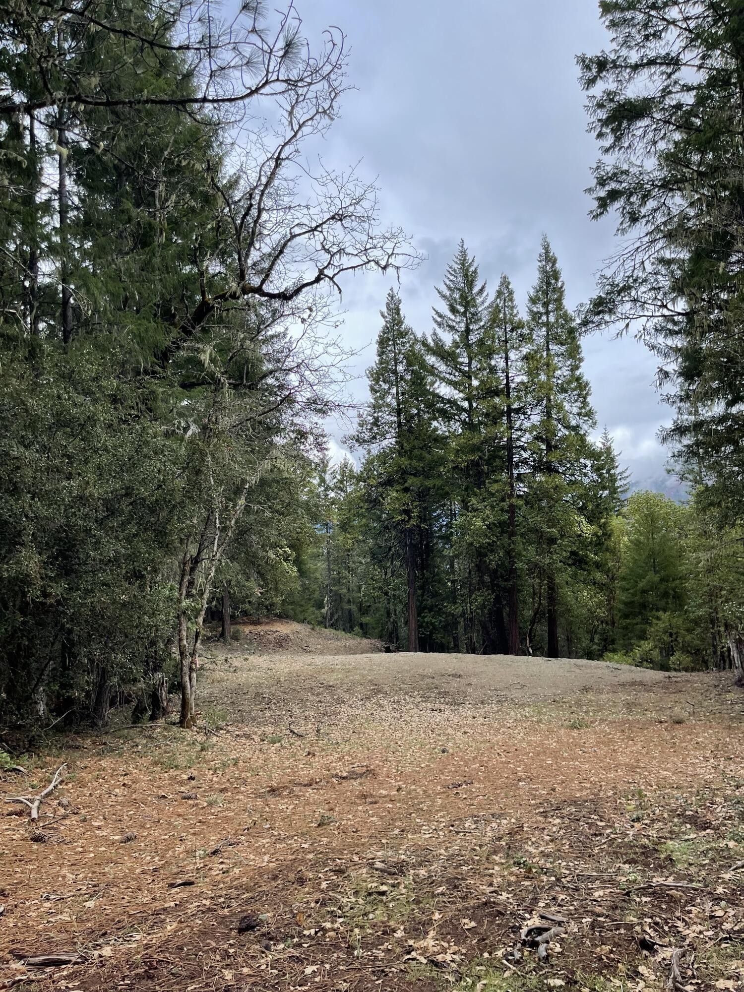 39 acres in Trinity County, California