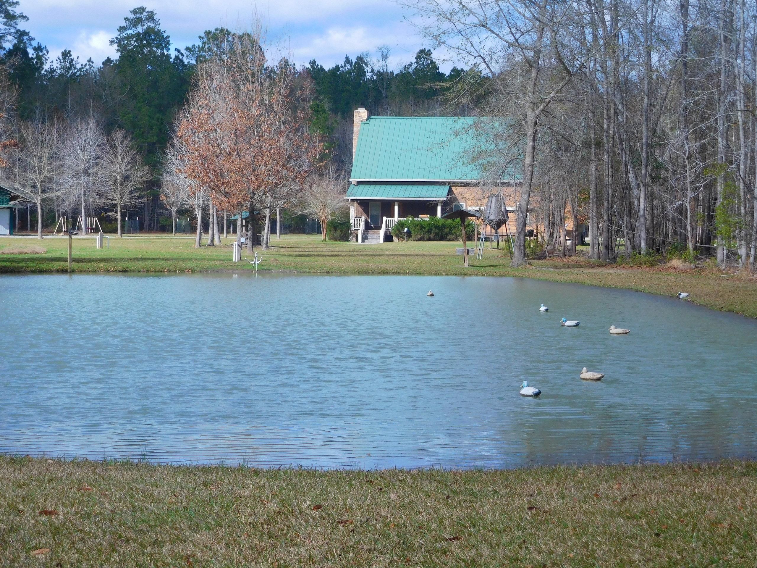 23 acres in Hampton County, South Carolina
