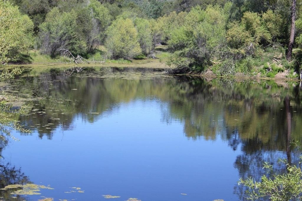 41636 Road 612, Raymond, CA 93653 MLS 577438