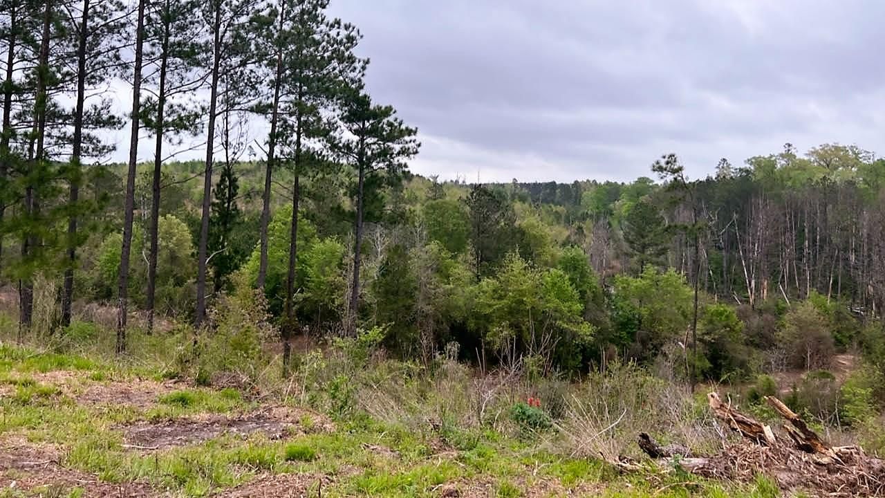 19.76 acres in Cass County, Texas