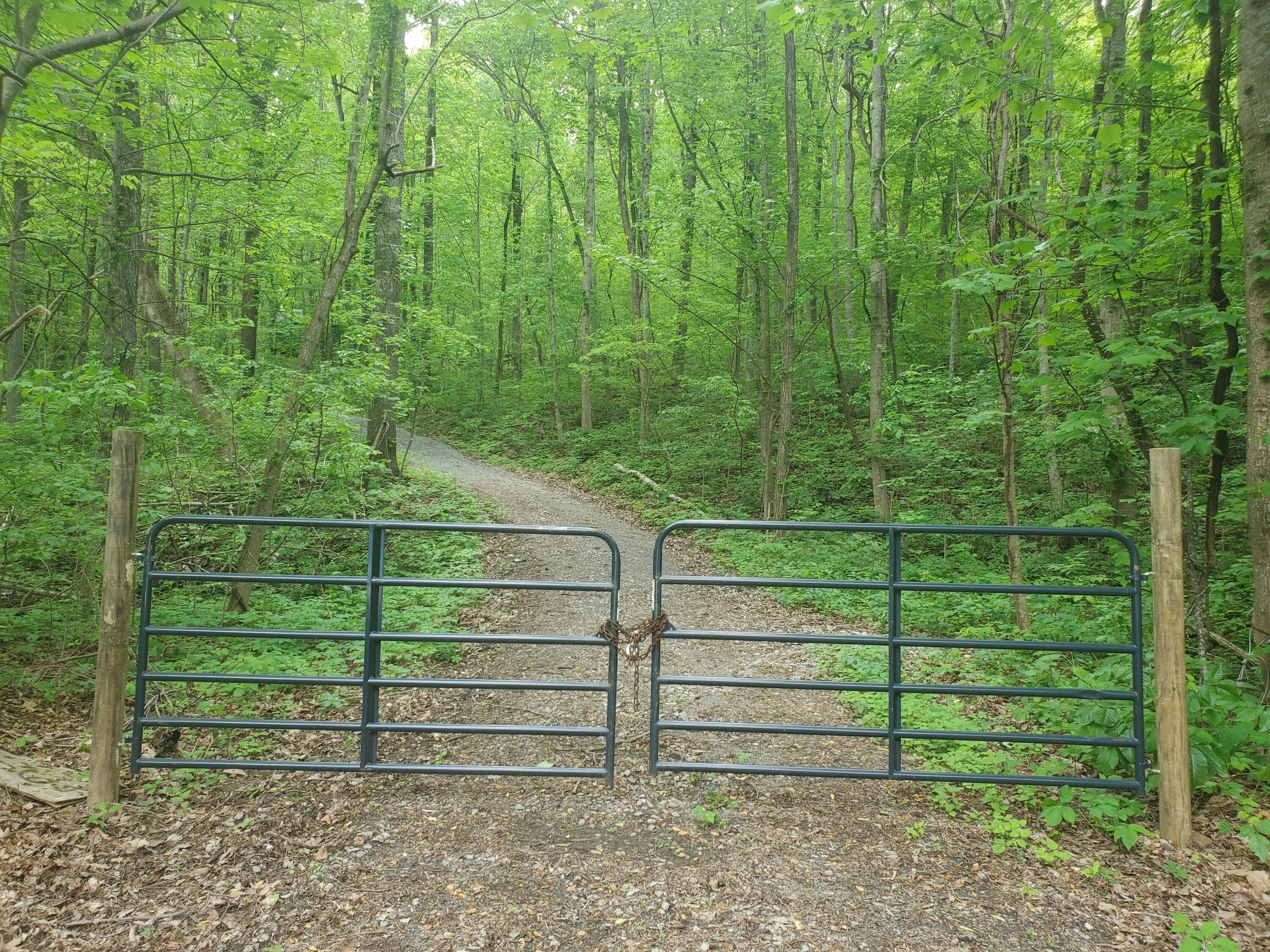 19.3 acres in Sequatchie County, Tennessee