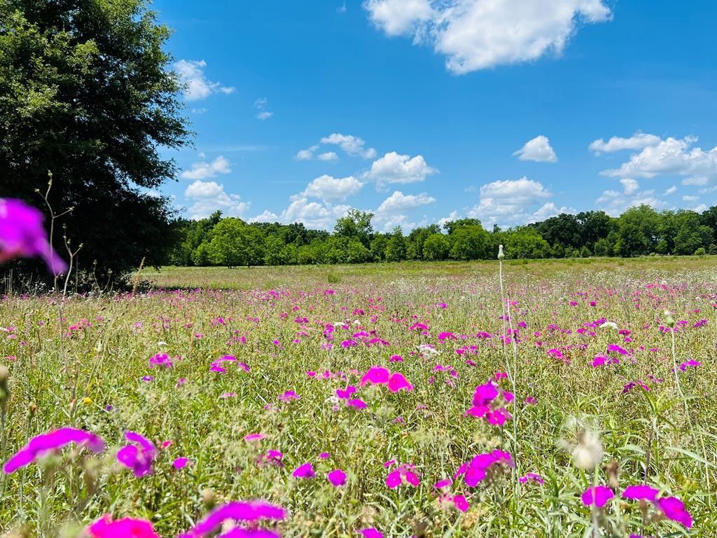 5 acres in Gilchrist County, Florida