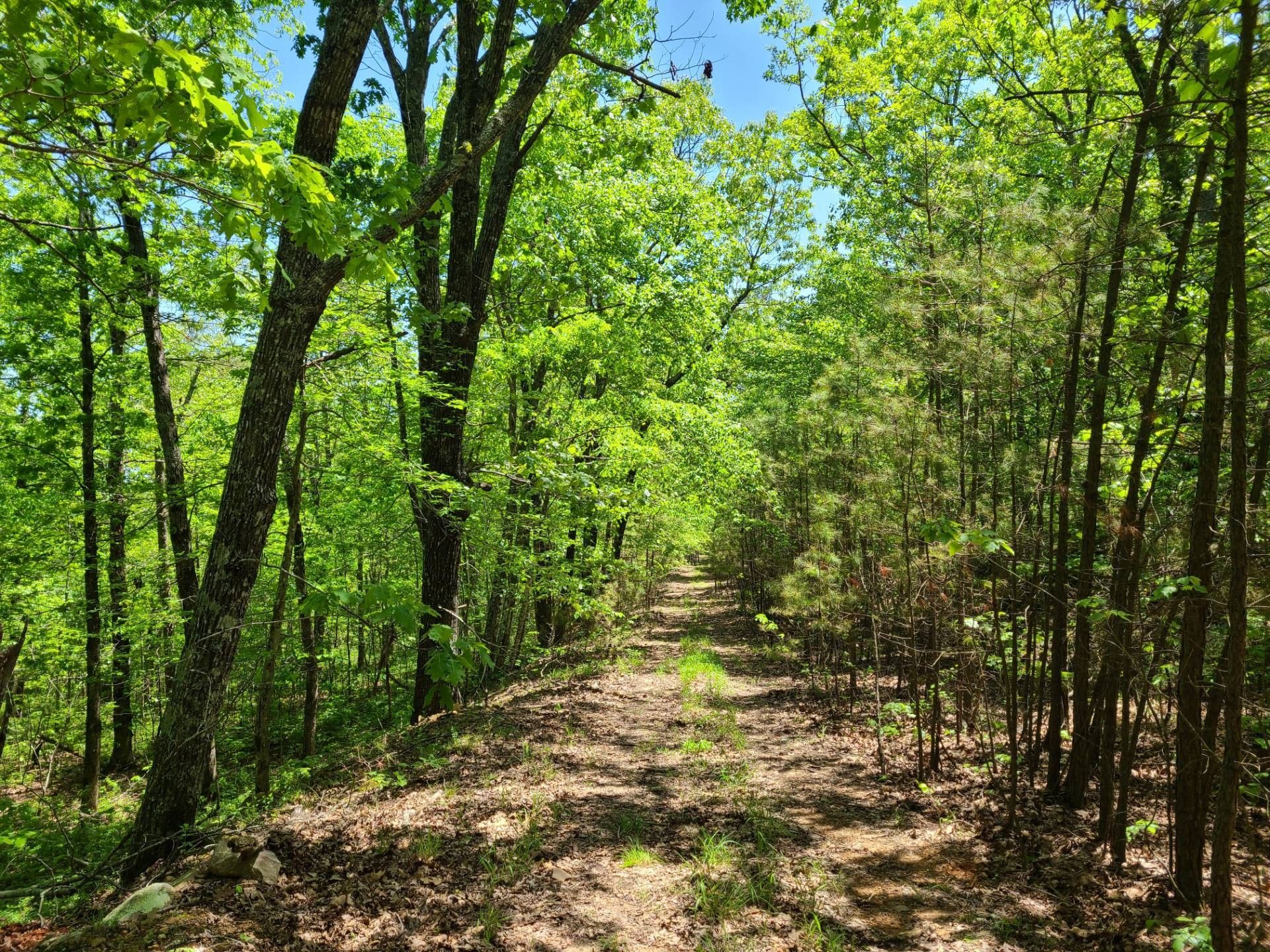 20 acres in Le Flore County, Oklahoma