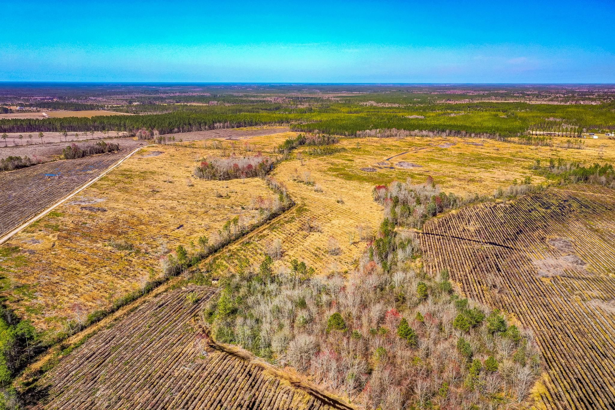 612 acres in Ware County,