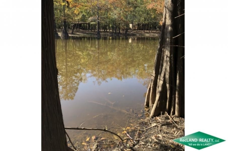 12.5 acres in Rapides Parish, Louisiana