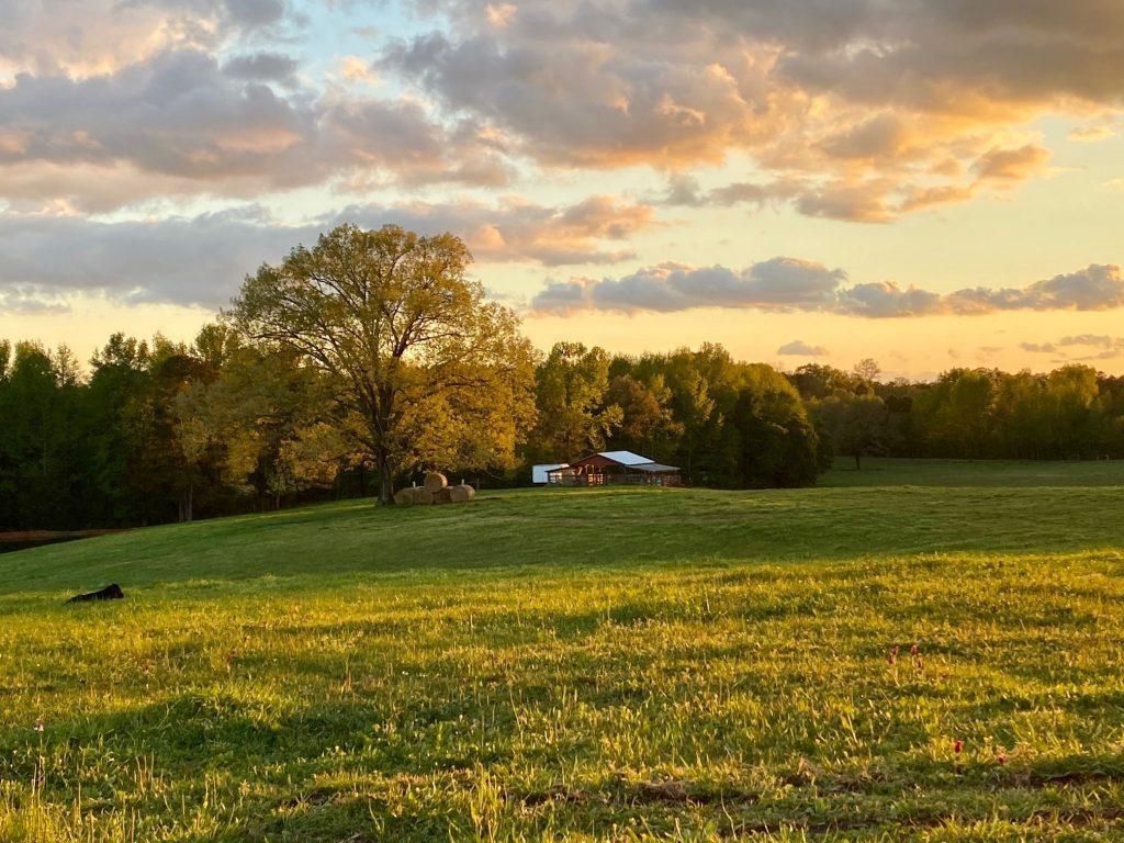 33 acres in Faulkner County, Arkansas