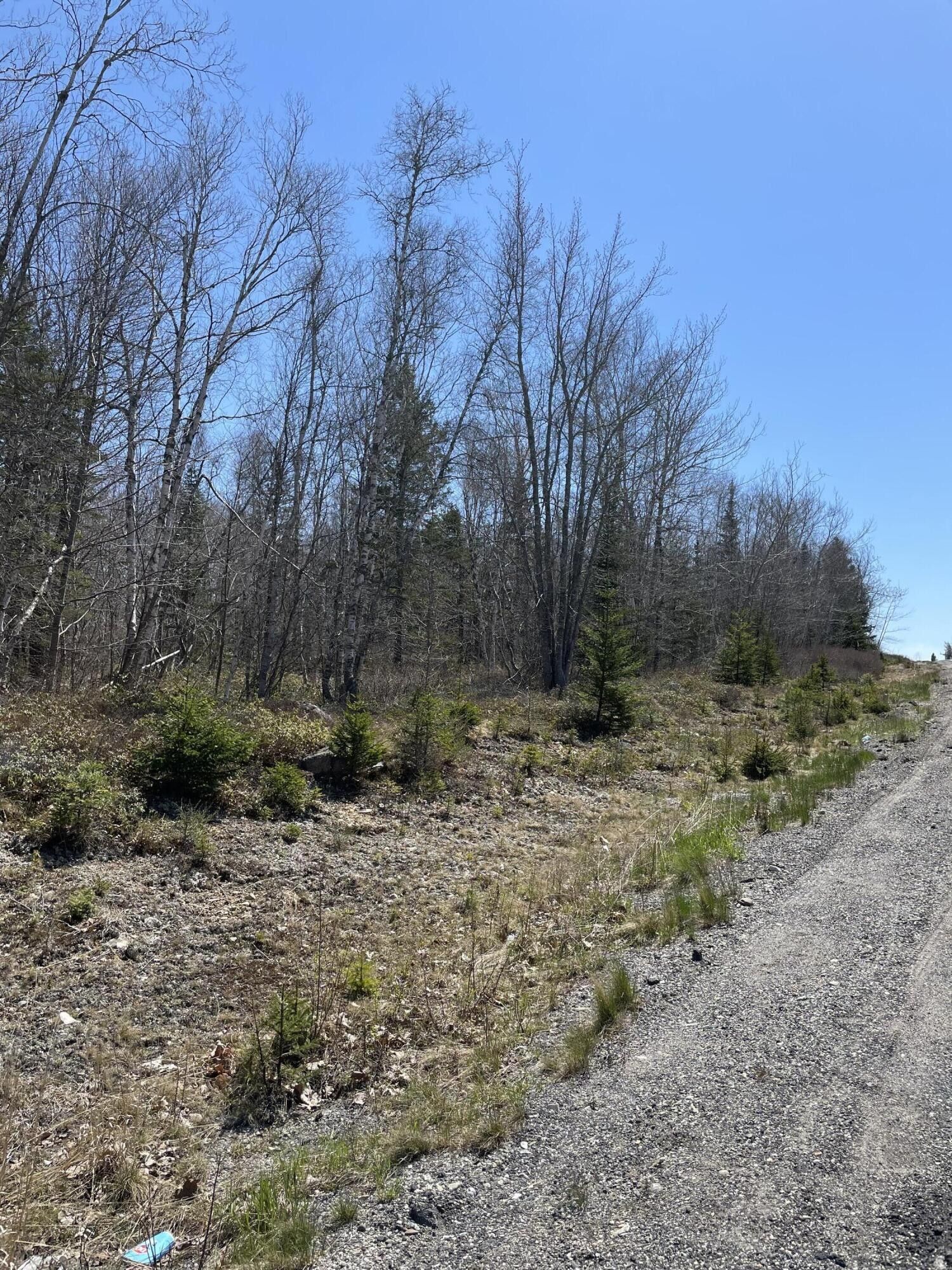 7 acres in Washington County, Maine