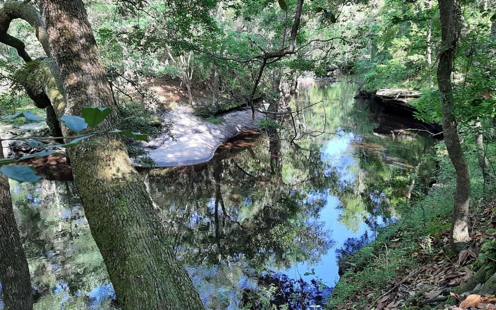 50 acres in Hamilton County, Florida