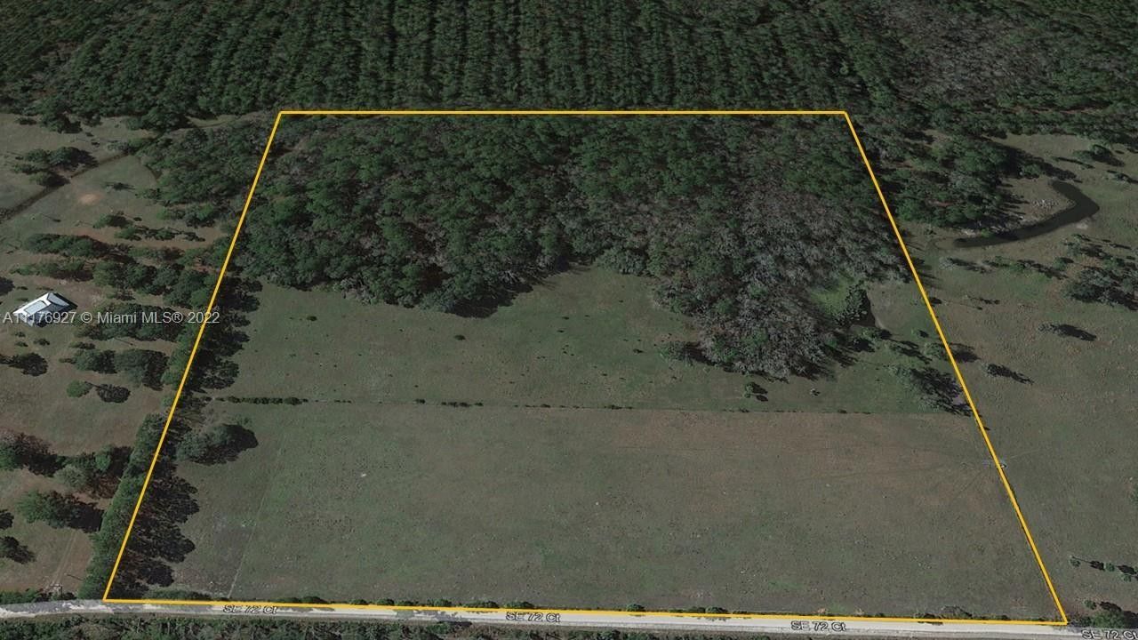 40 acres in Levy County, Florida