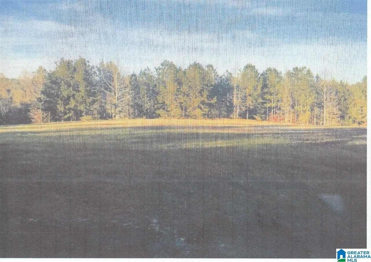 5 acres in Chilton County, Alabama