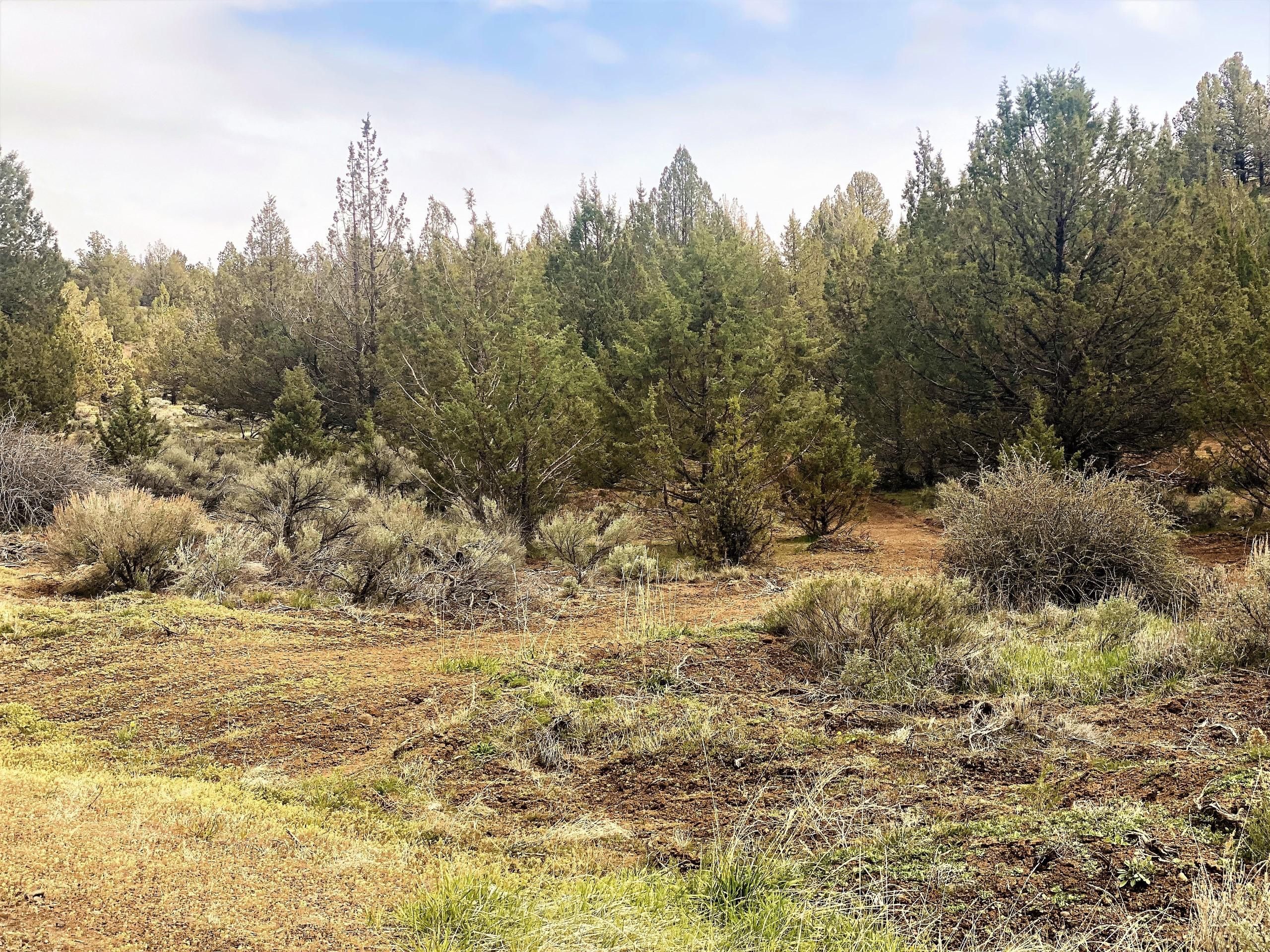 1.77 acres in Modoc County, California