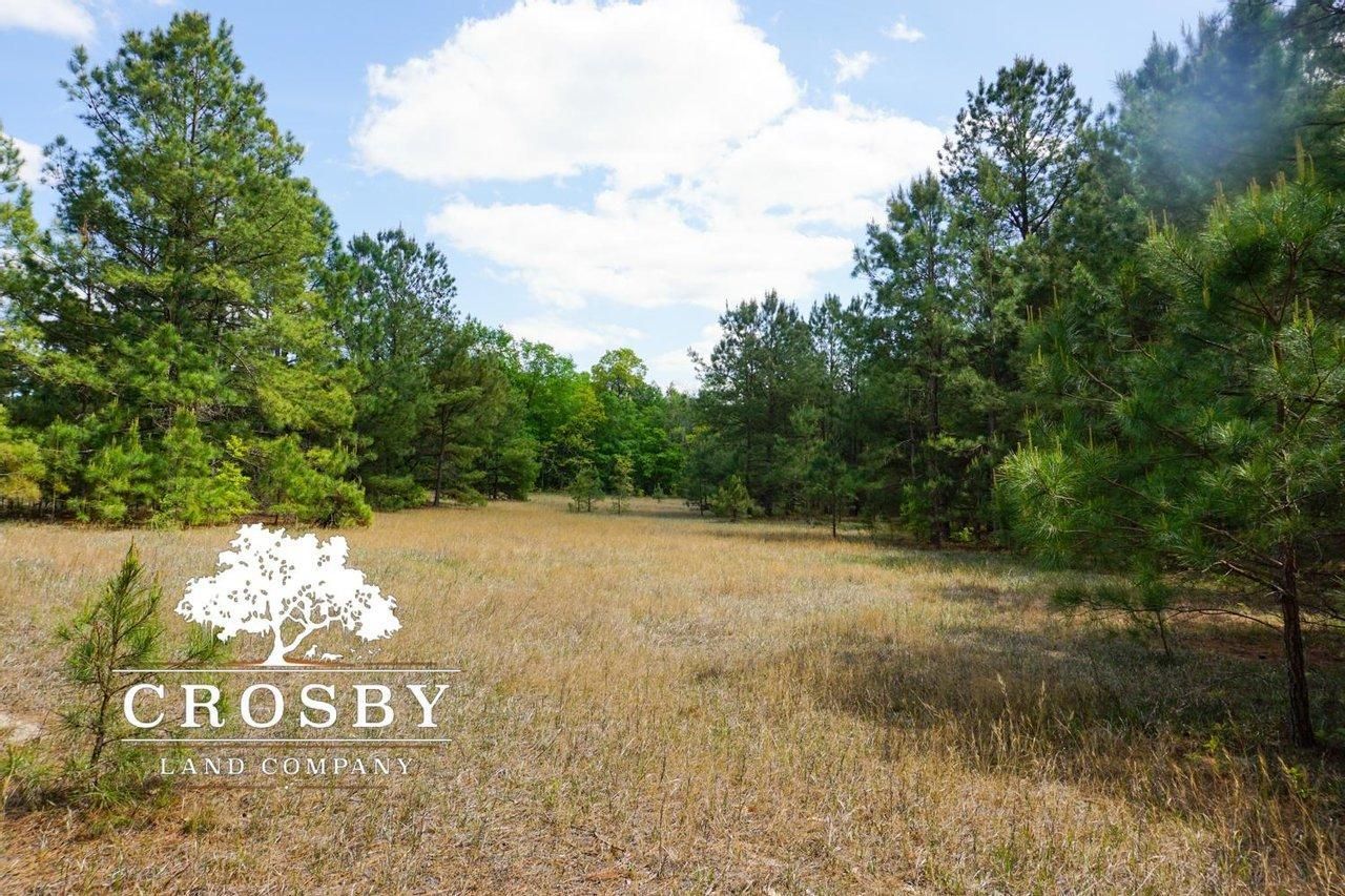 7.6 acres in Dillon County, South Carolina