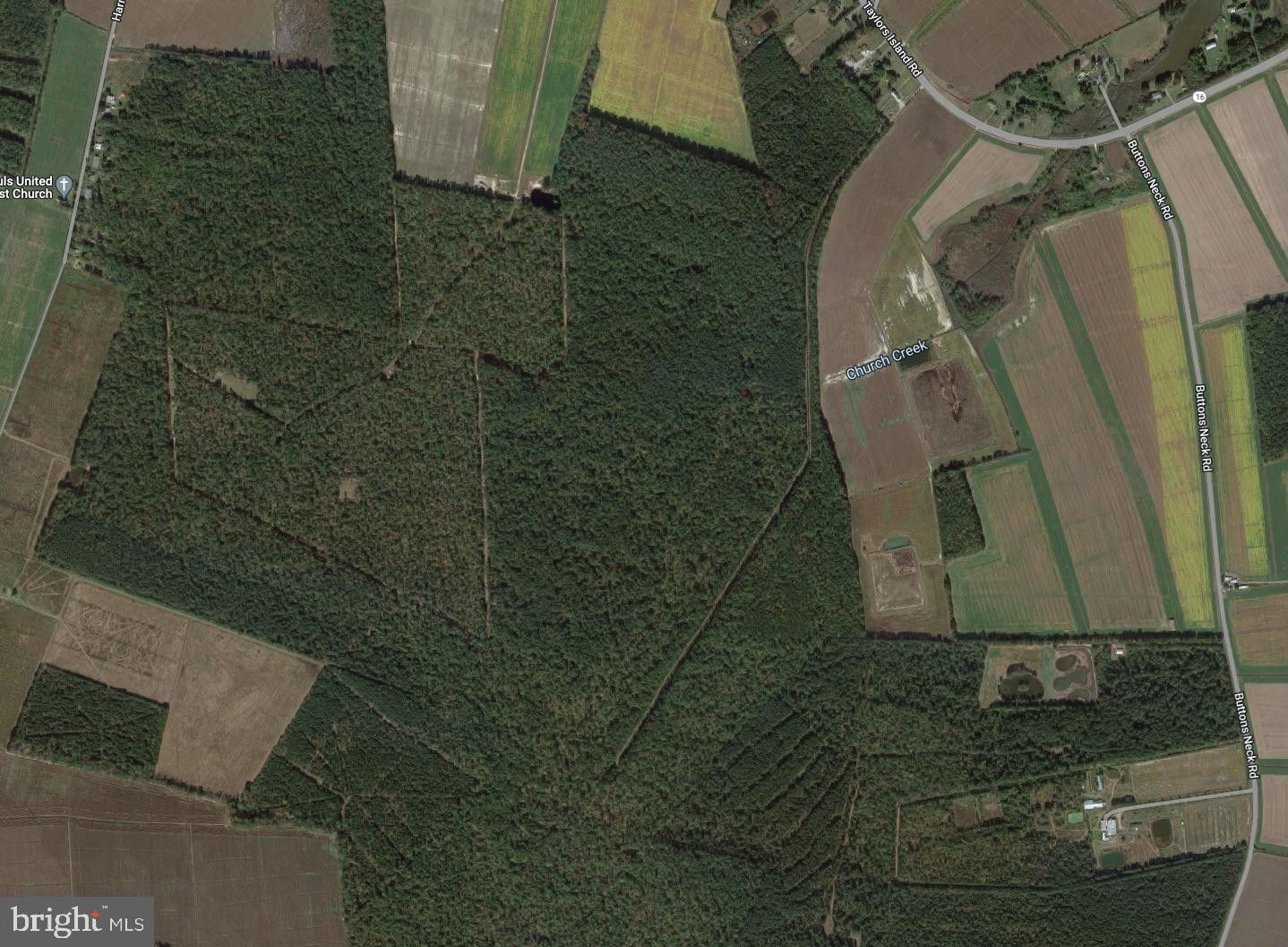 84.8 acres in Dorchester County, Maryland