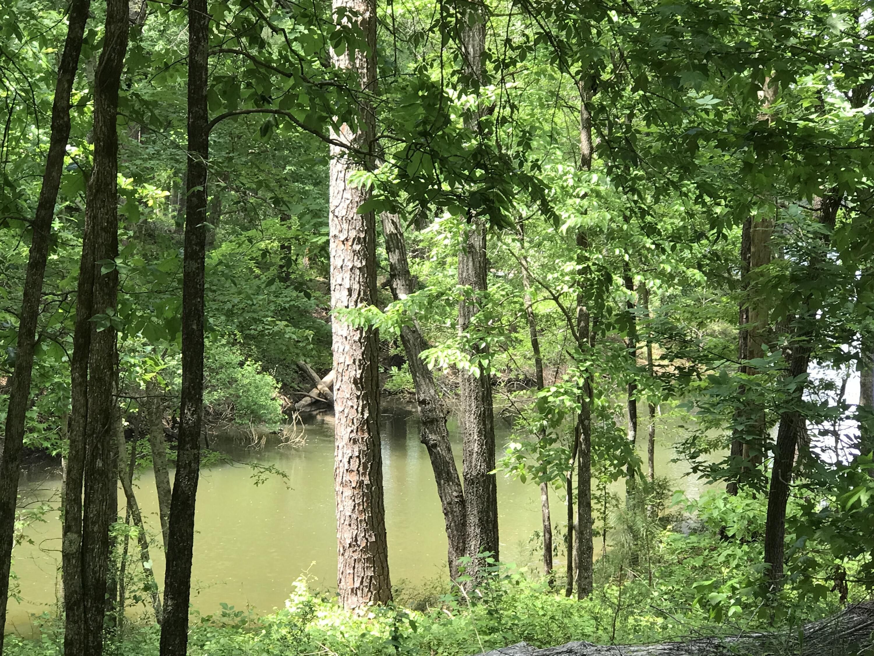 12 acres in McCormick County, South Carolina