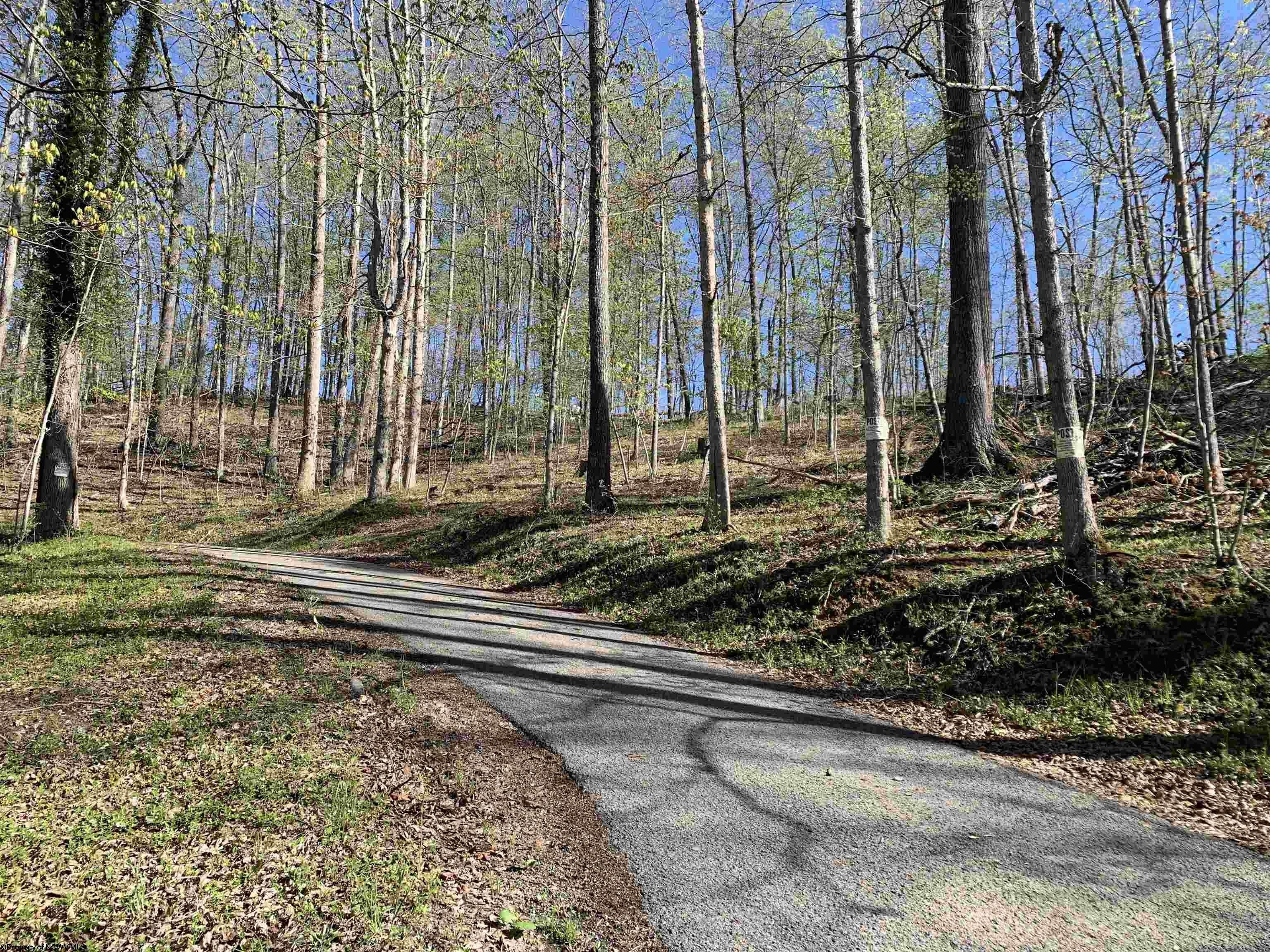 39 acres in Randolph County, West Virginia