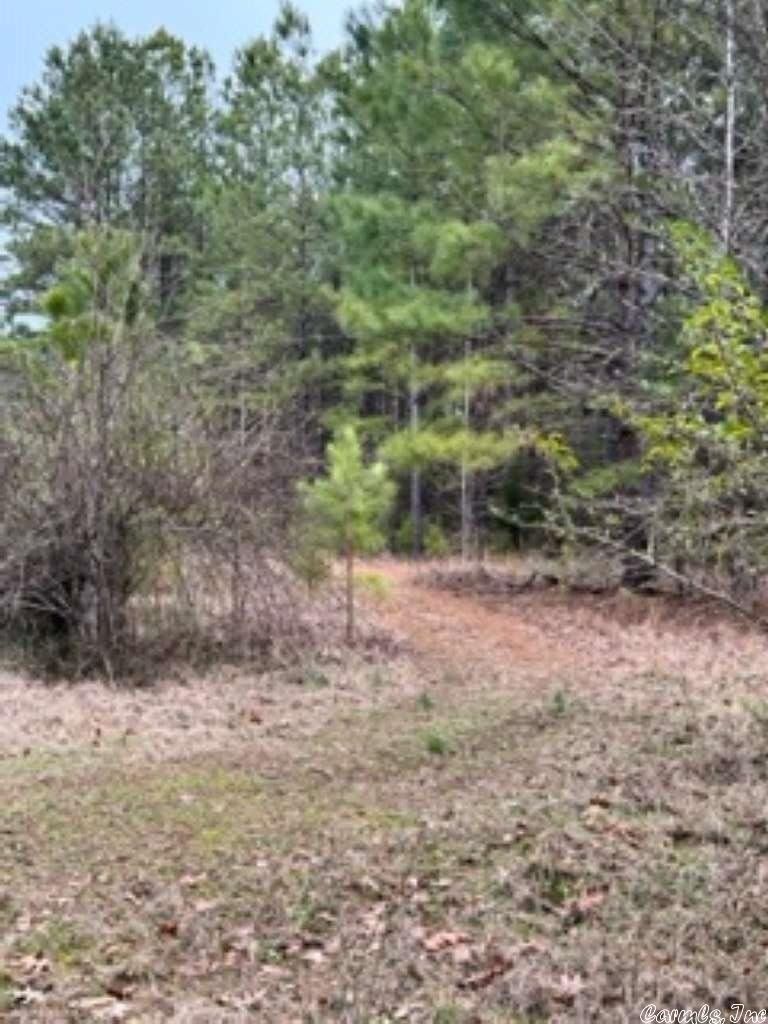 20 acres in Clark County, Arkansas