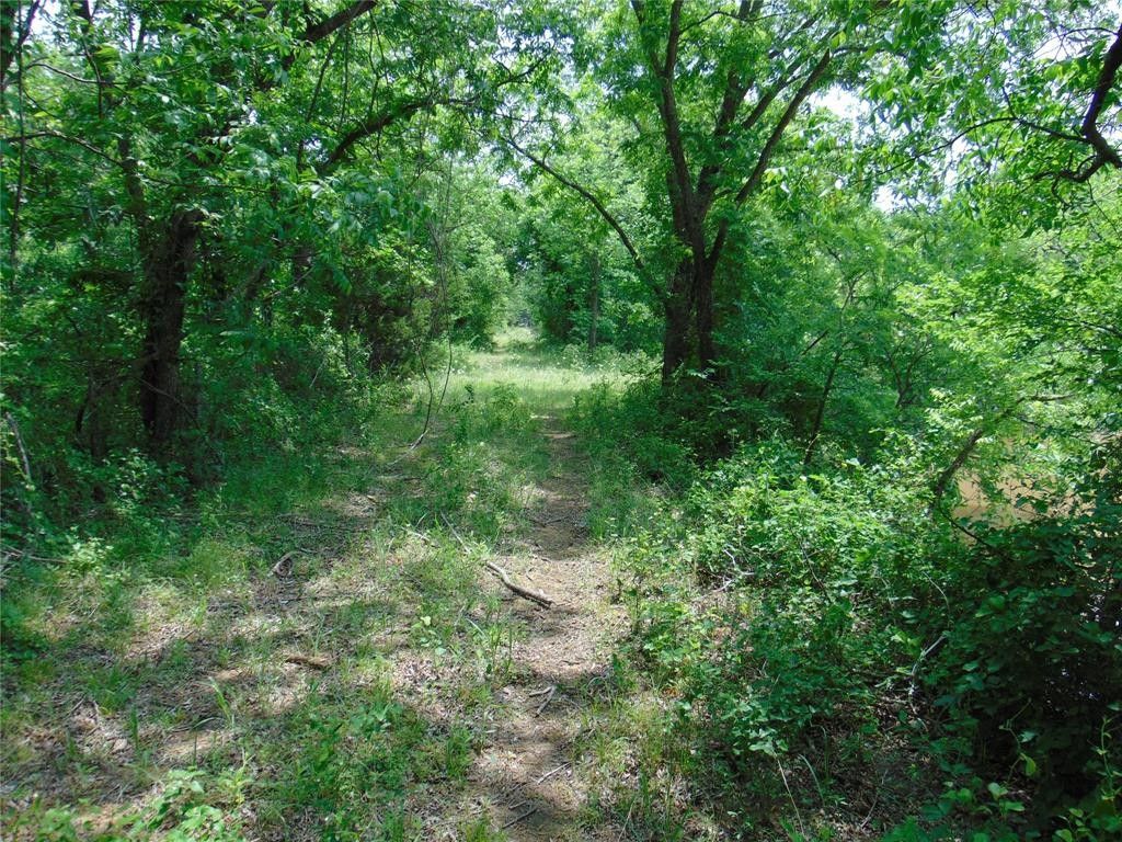 35 acres in Palo Pinto County, Texas