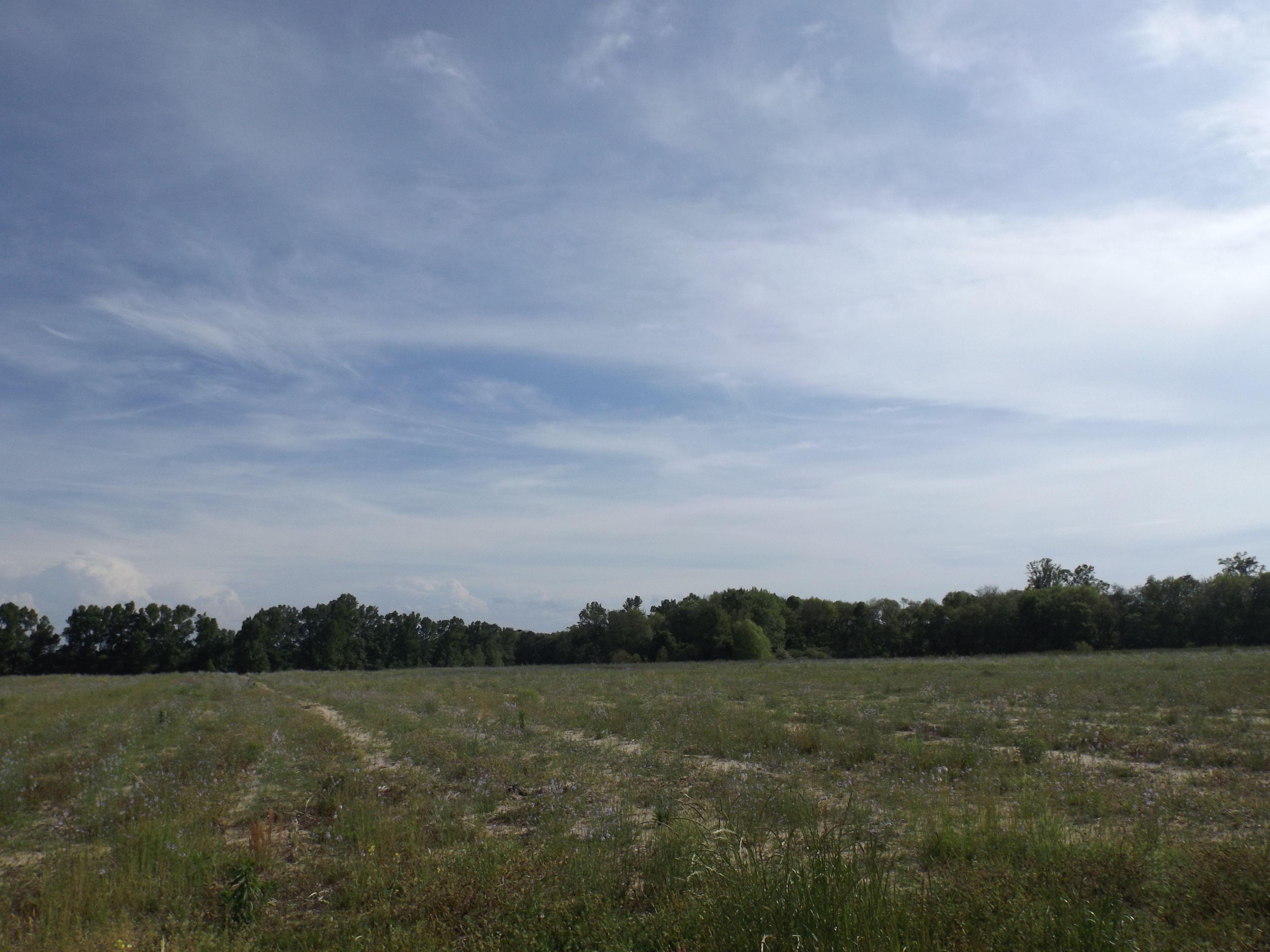 10 acres in Autauga County, Alabama