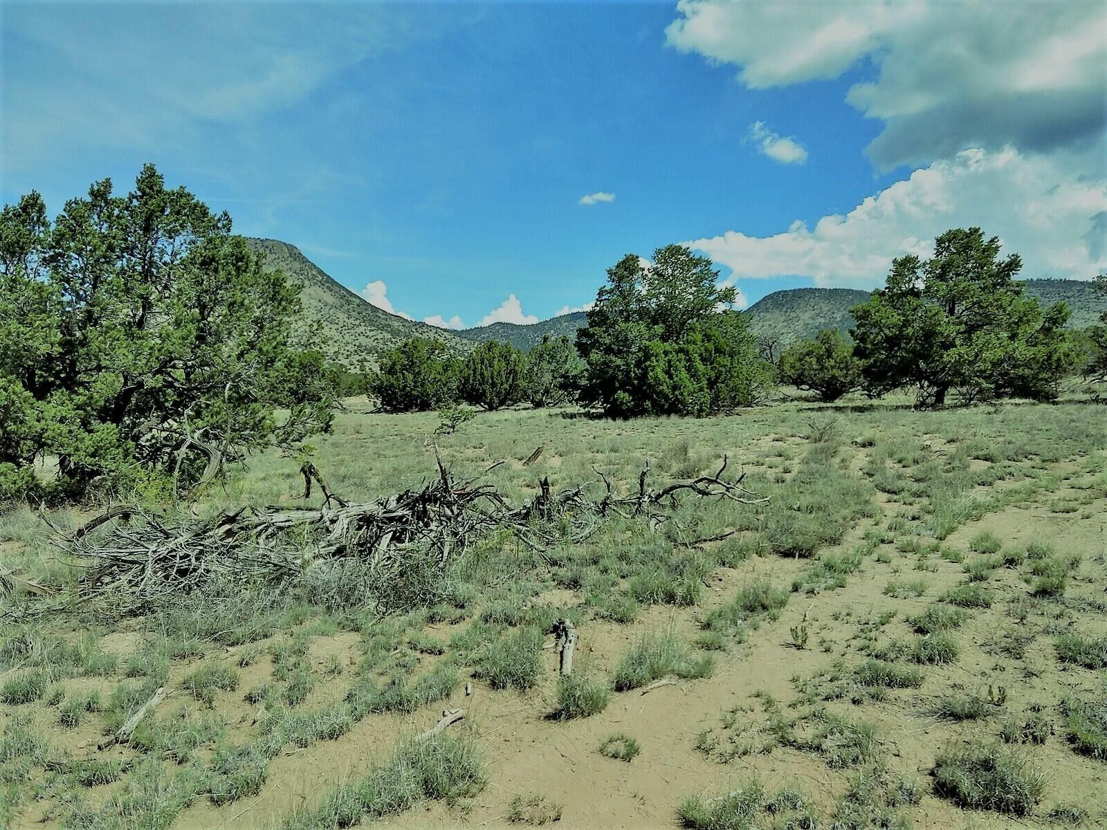 5.23 acres in Catron County, New Mexico
