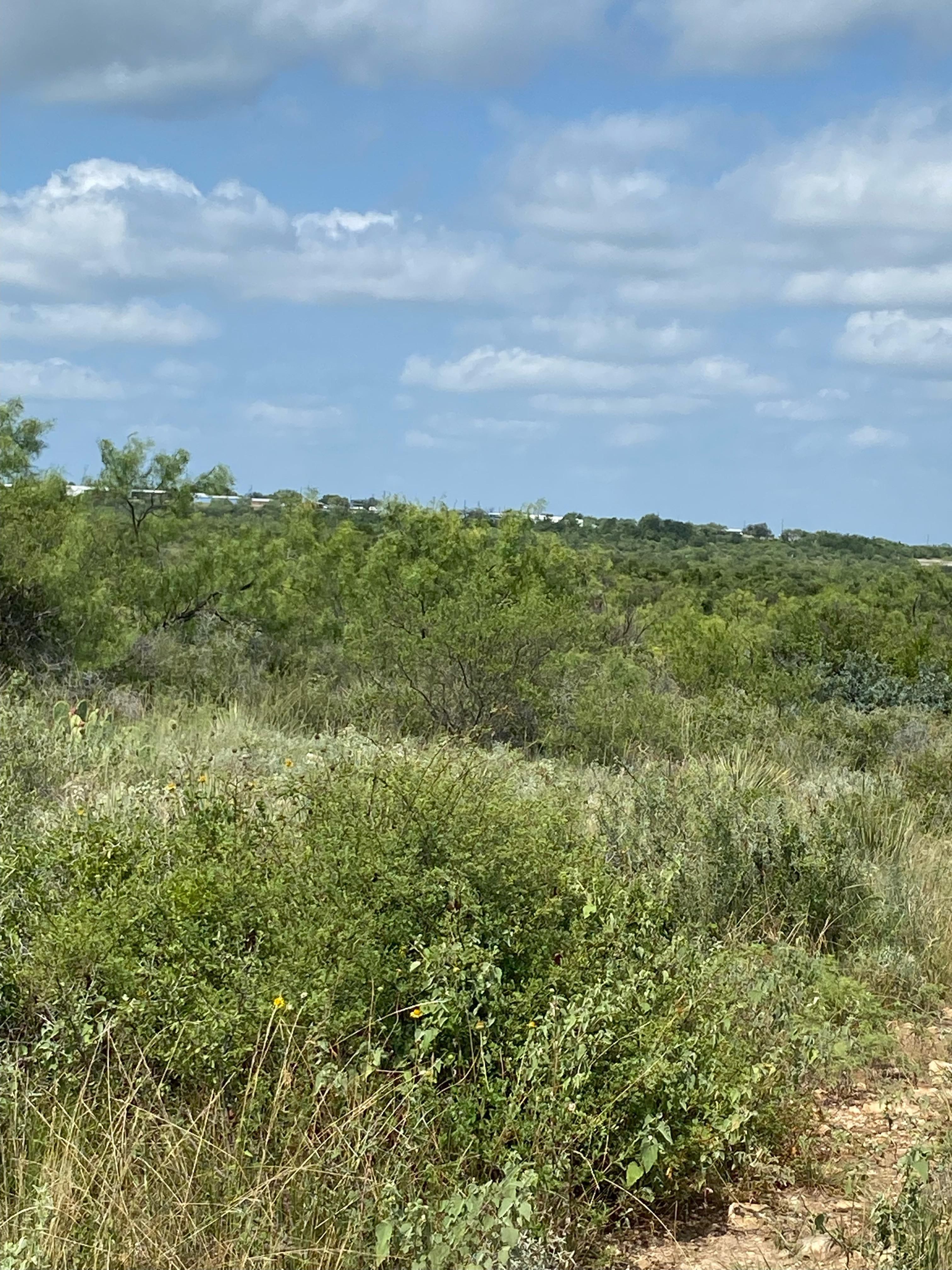 76 acres in Coleman County, Texas