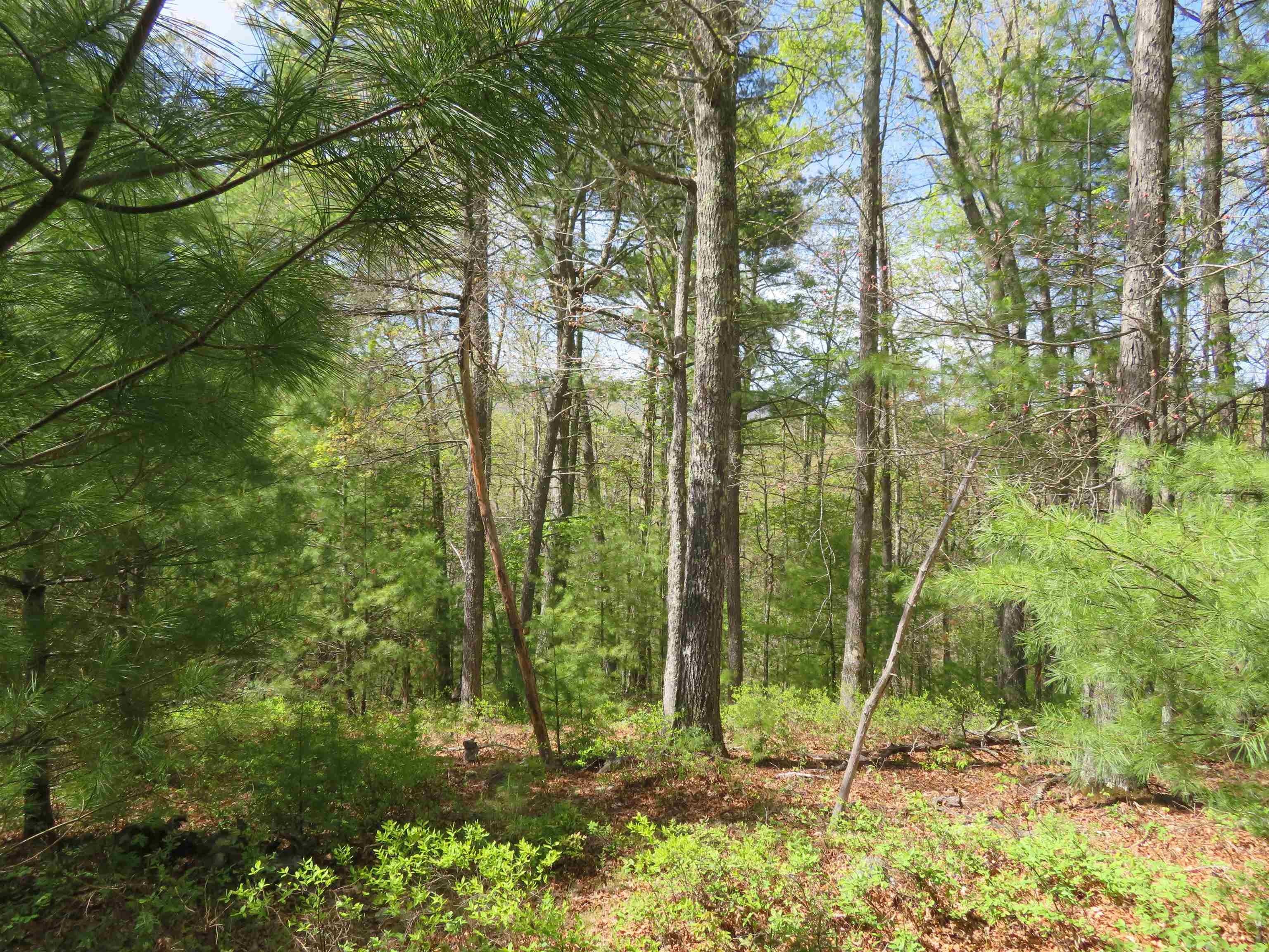 39.14 acres in Bath County, Virginia