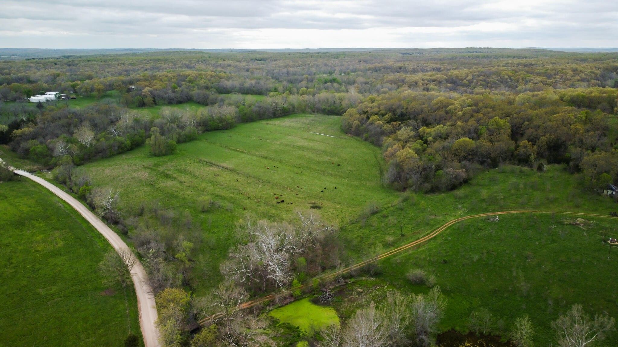 122 acres in Cedar County, Missouri