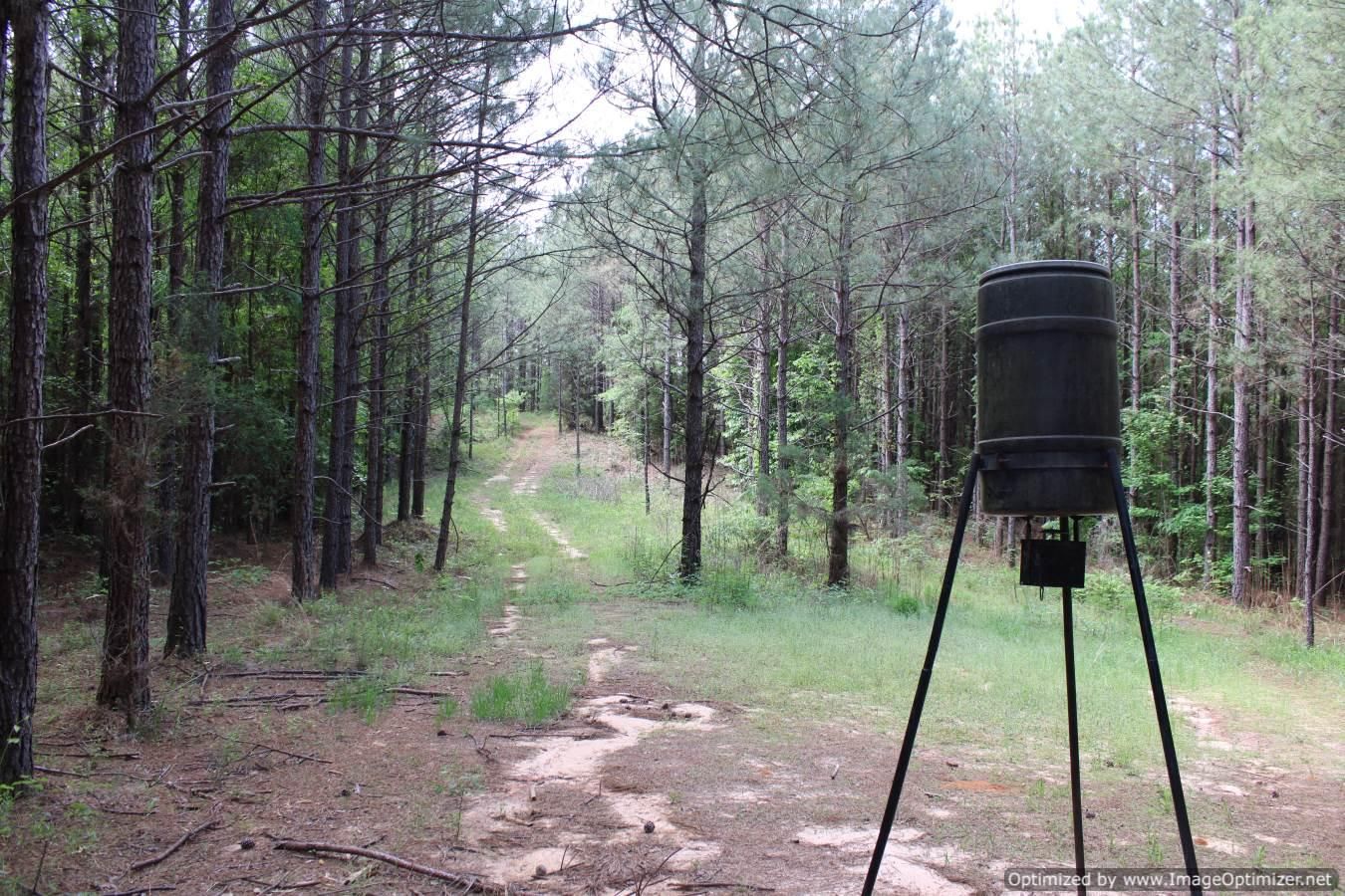 361 acres in Attala County, Mississippi