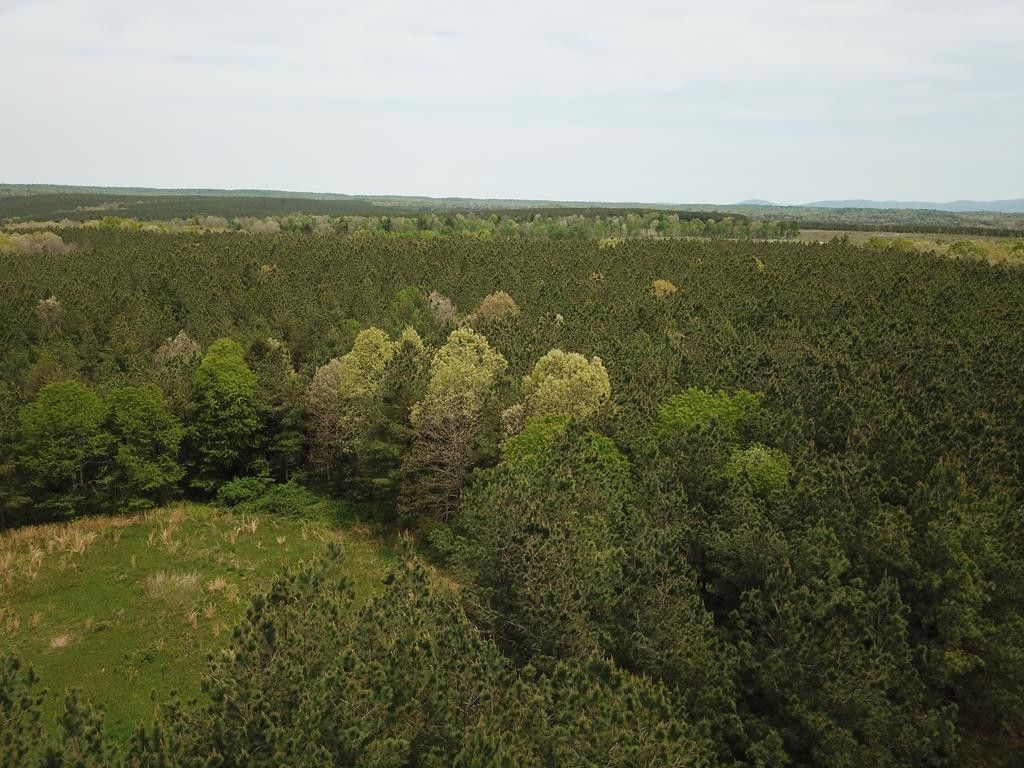 219 acres in County, Tennessee