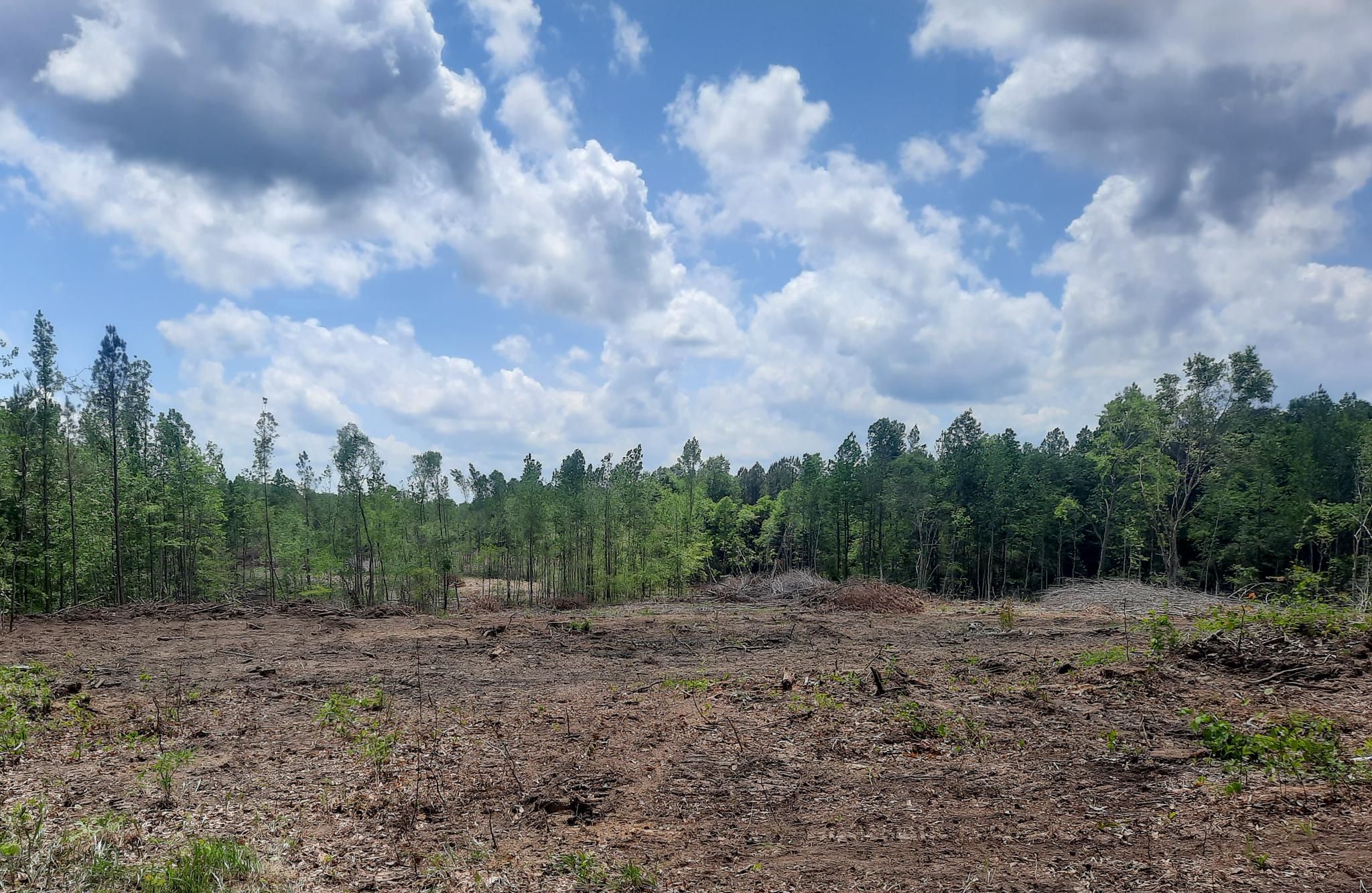 16 acres in Walker County, Alabama
