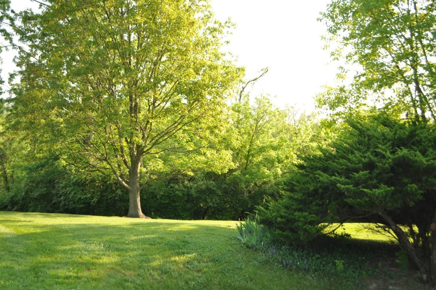 3 acres in dearborn county indiana