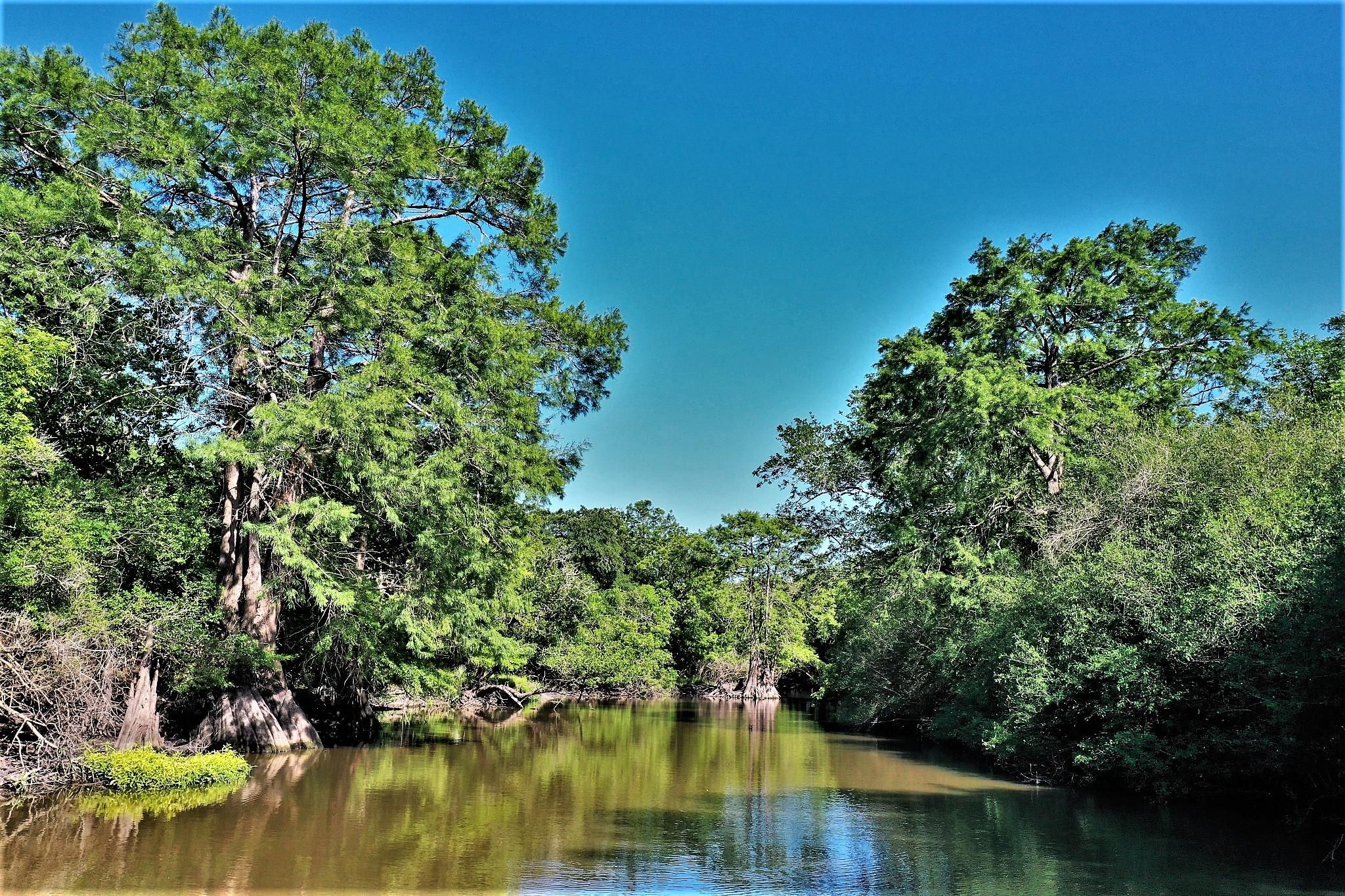 15.12 acres in Fort Bend County, Texas